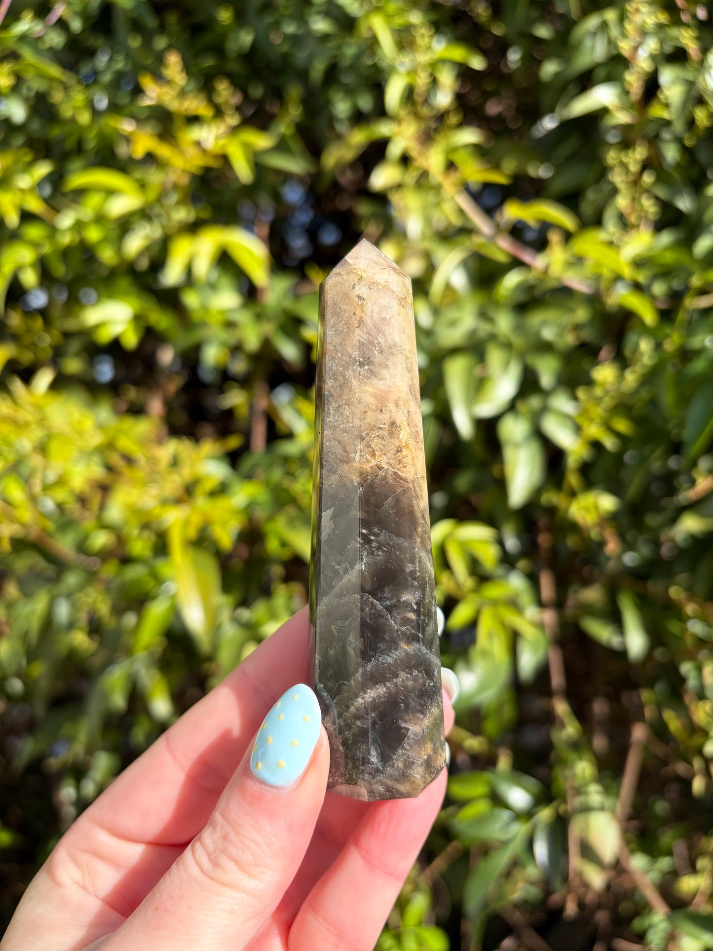 Black Moonstone Point C