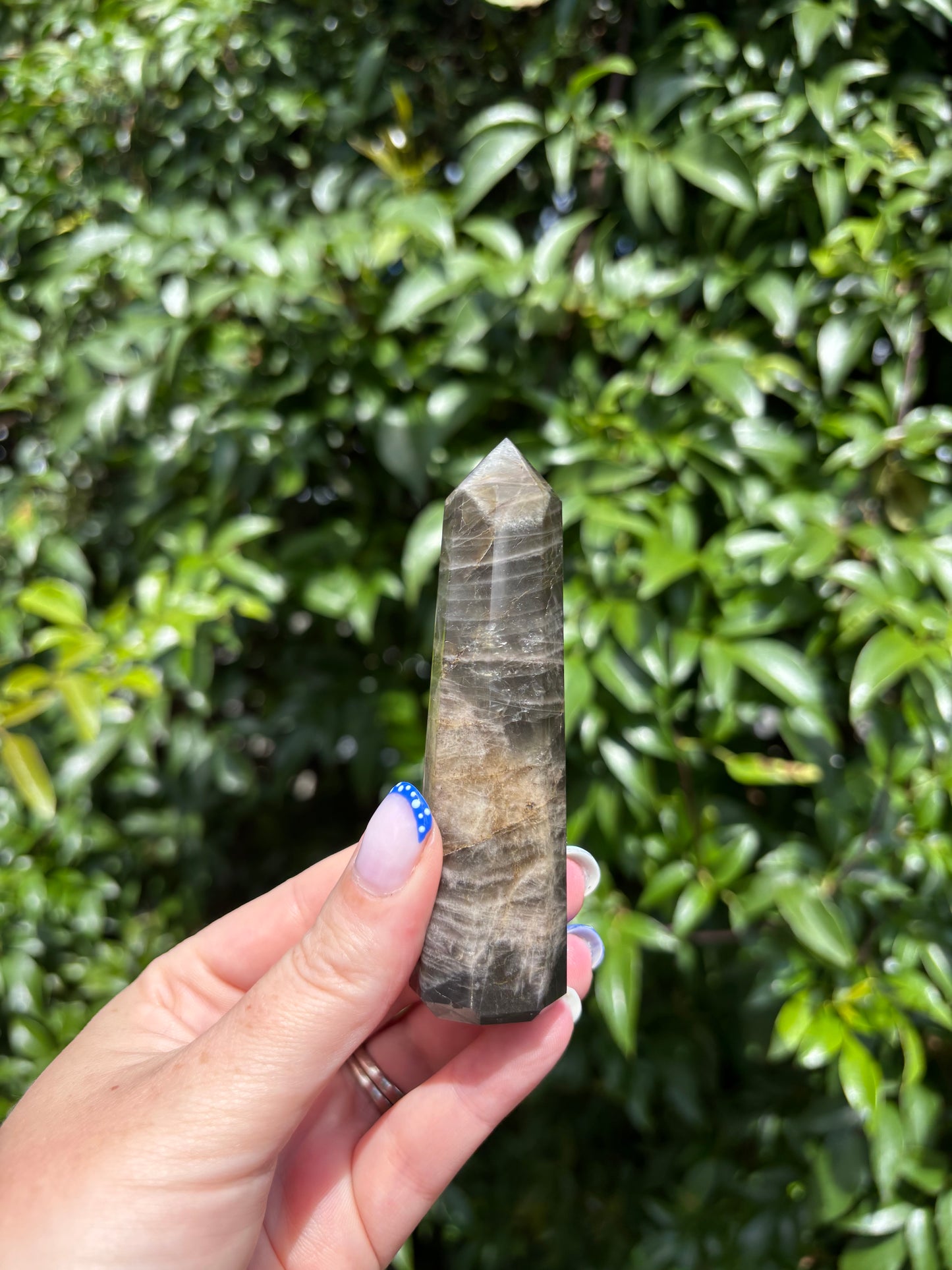 Black Moonstone Point C