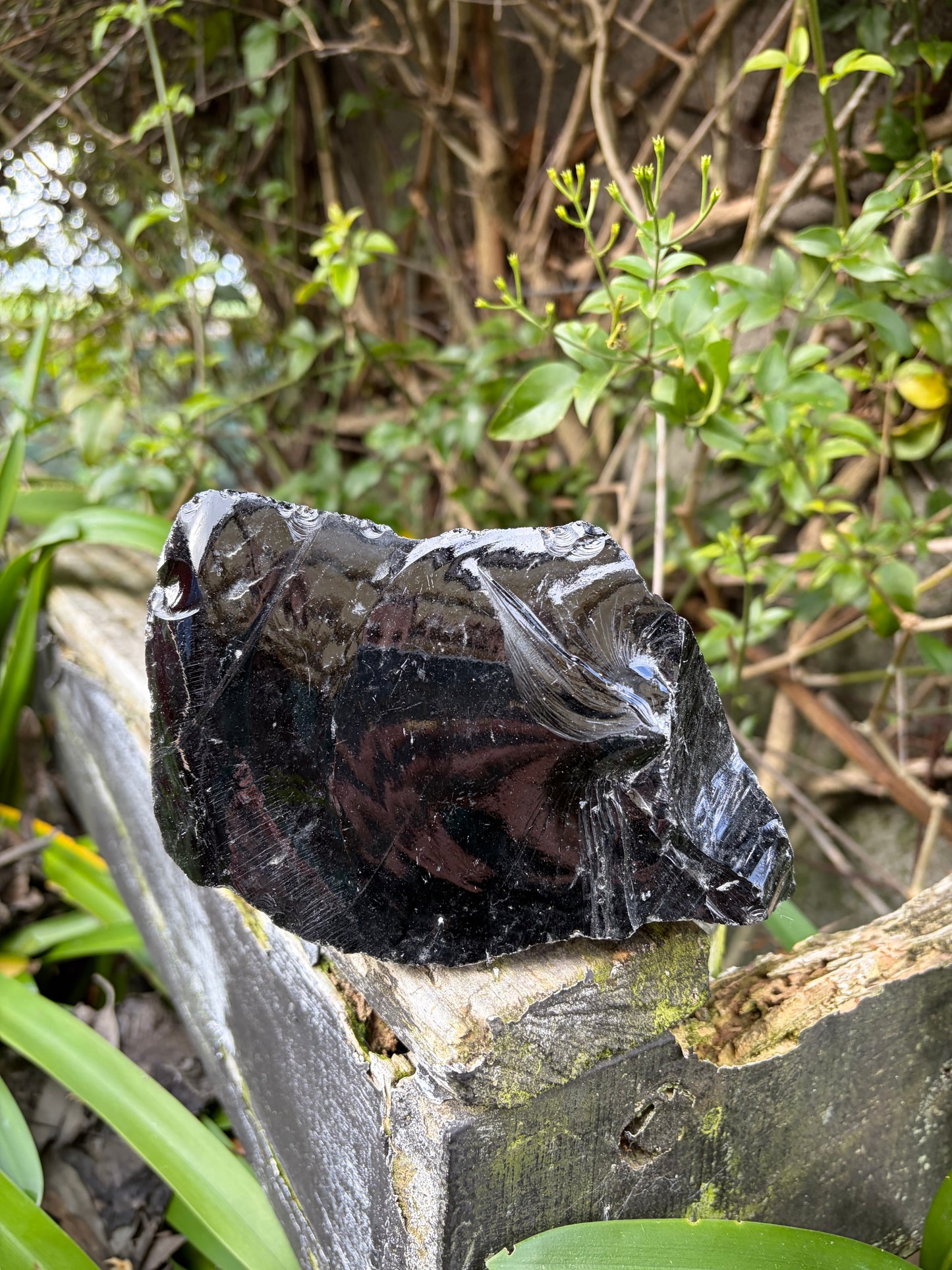 Black Obsidian Rough Piece A 1.1kgs