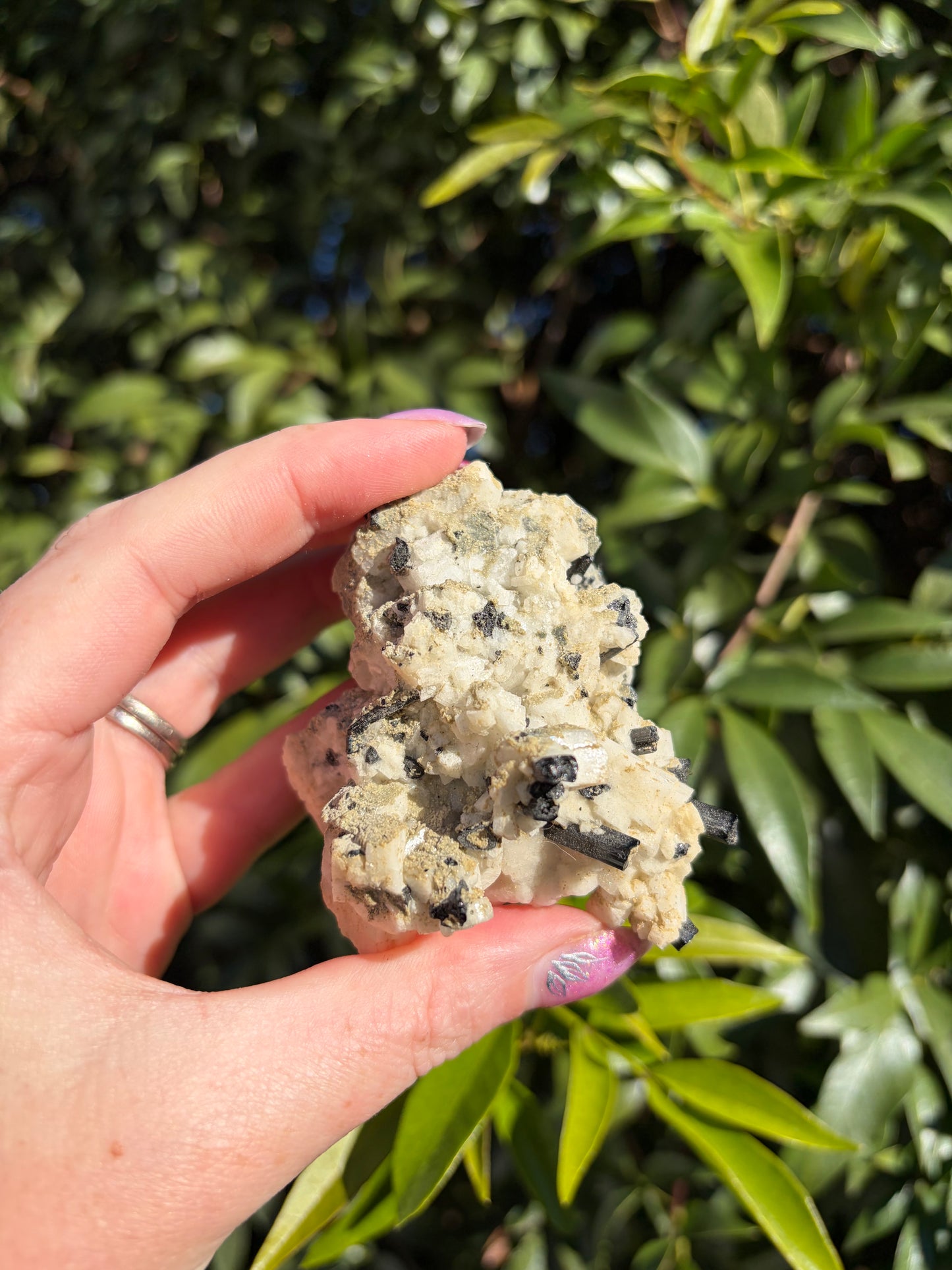 Black Tourmaline & Quartz Rough Piece D