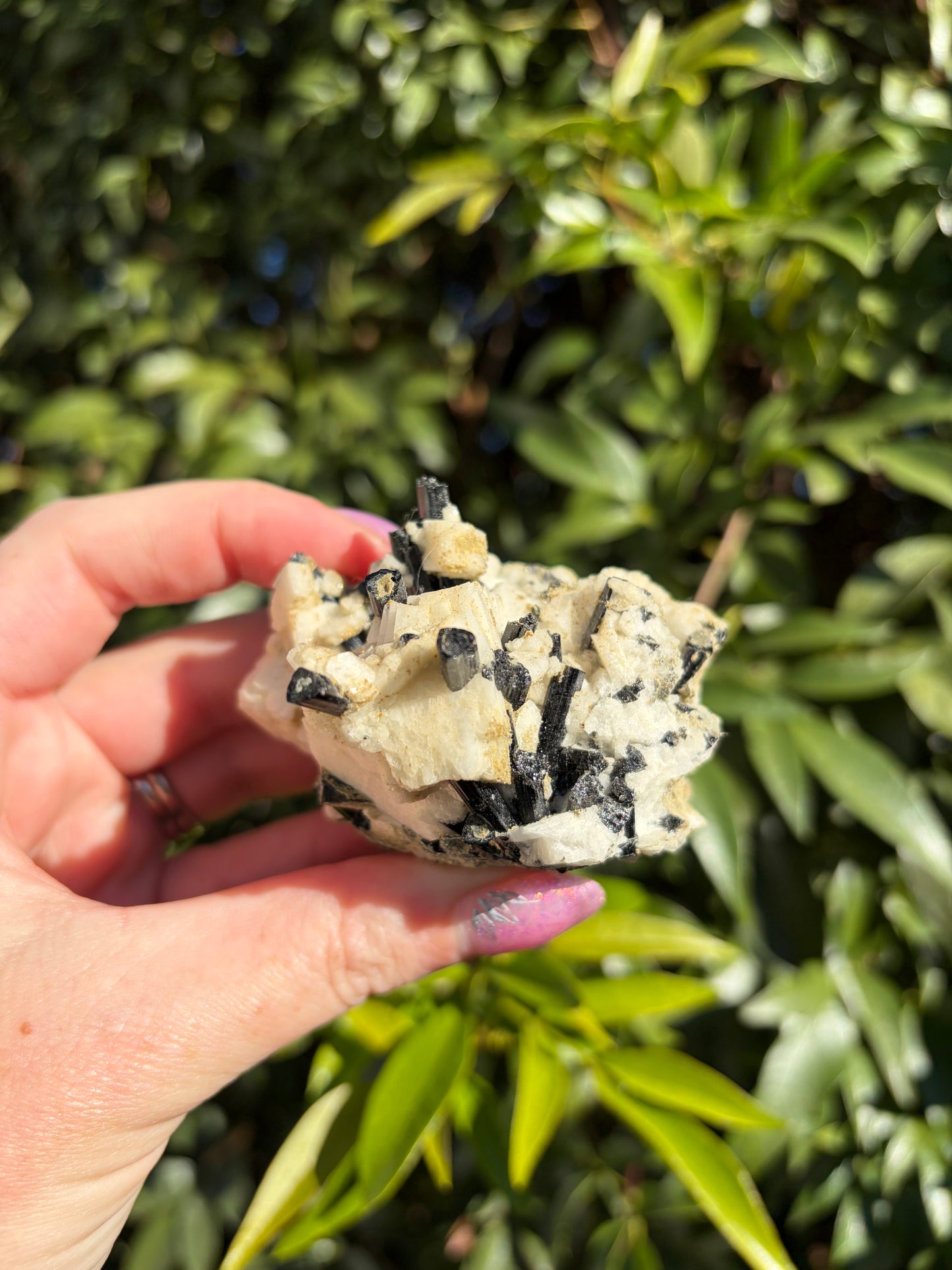 Black Tourmaline & Quartz Rough Piece D
