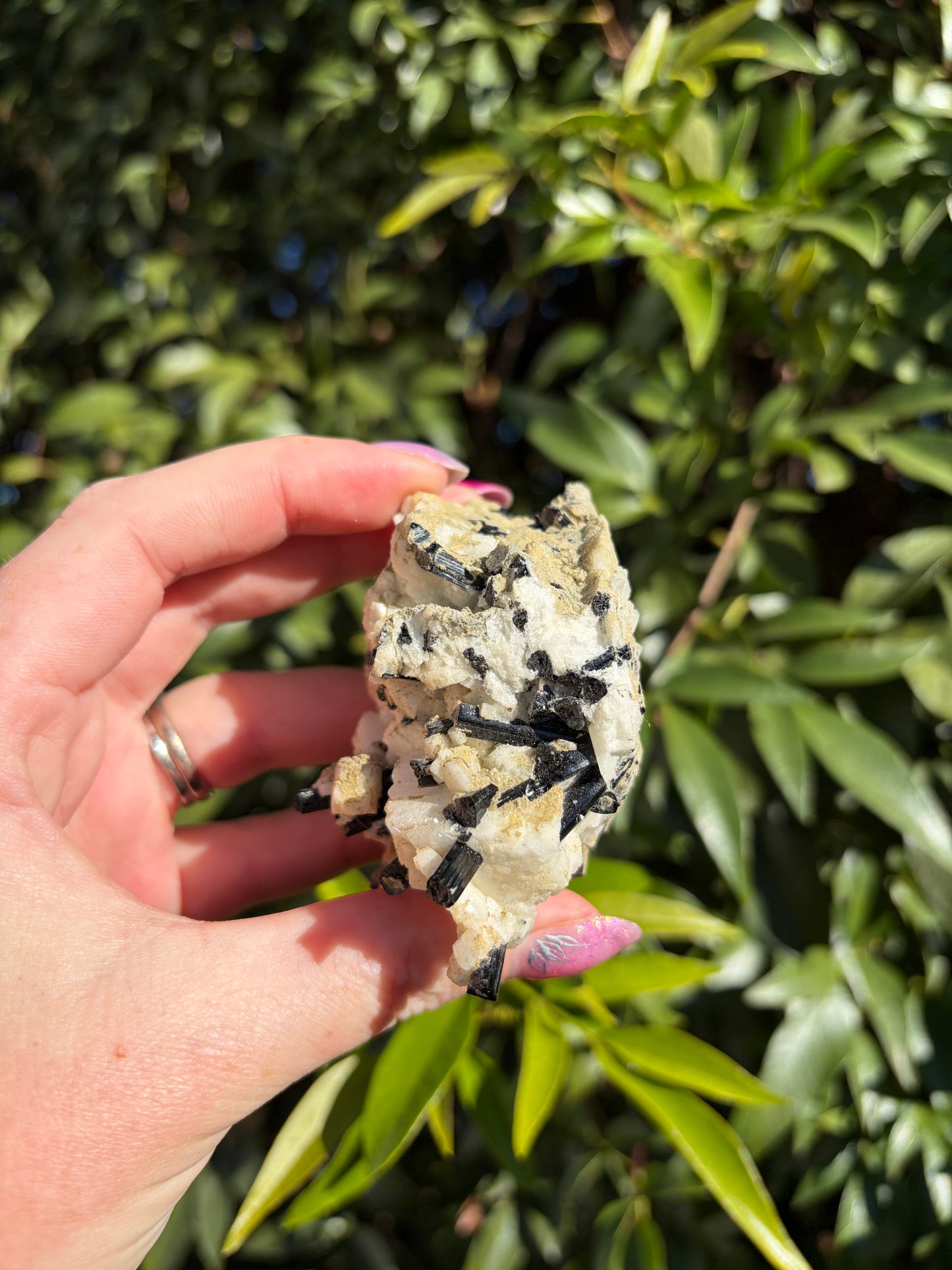 Black Tourmaline & Quartz Rough Piece D