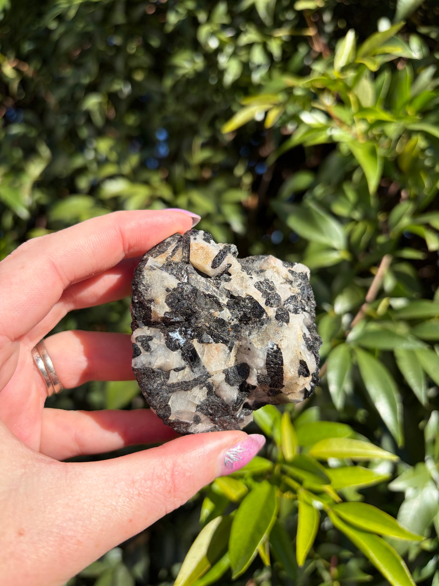 Black Tourmaline & Quartz Rough Piece E