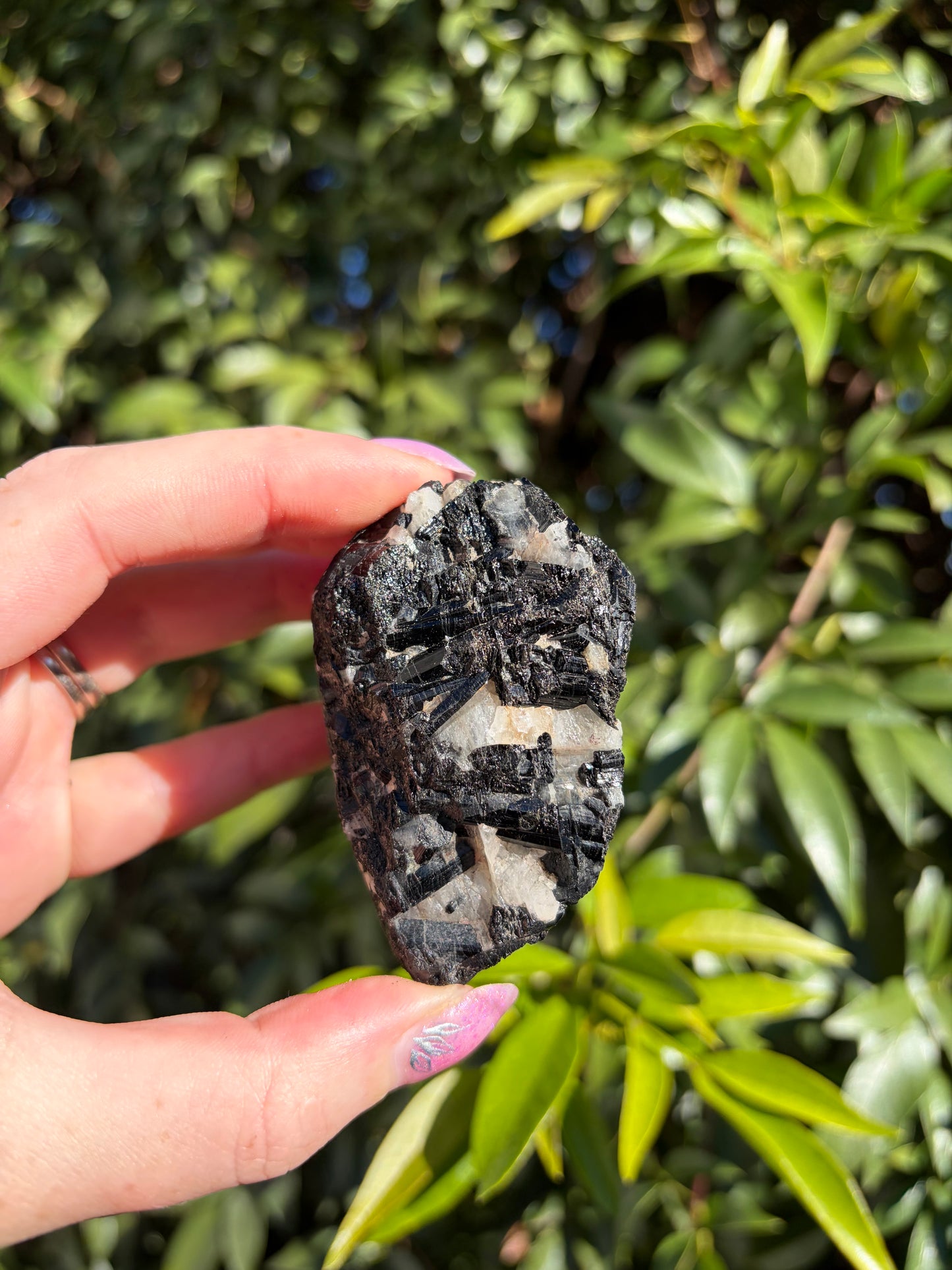 Black Tourmaline & Quartz Rough Piece E