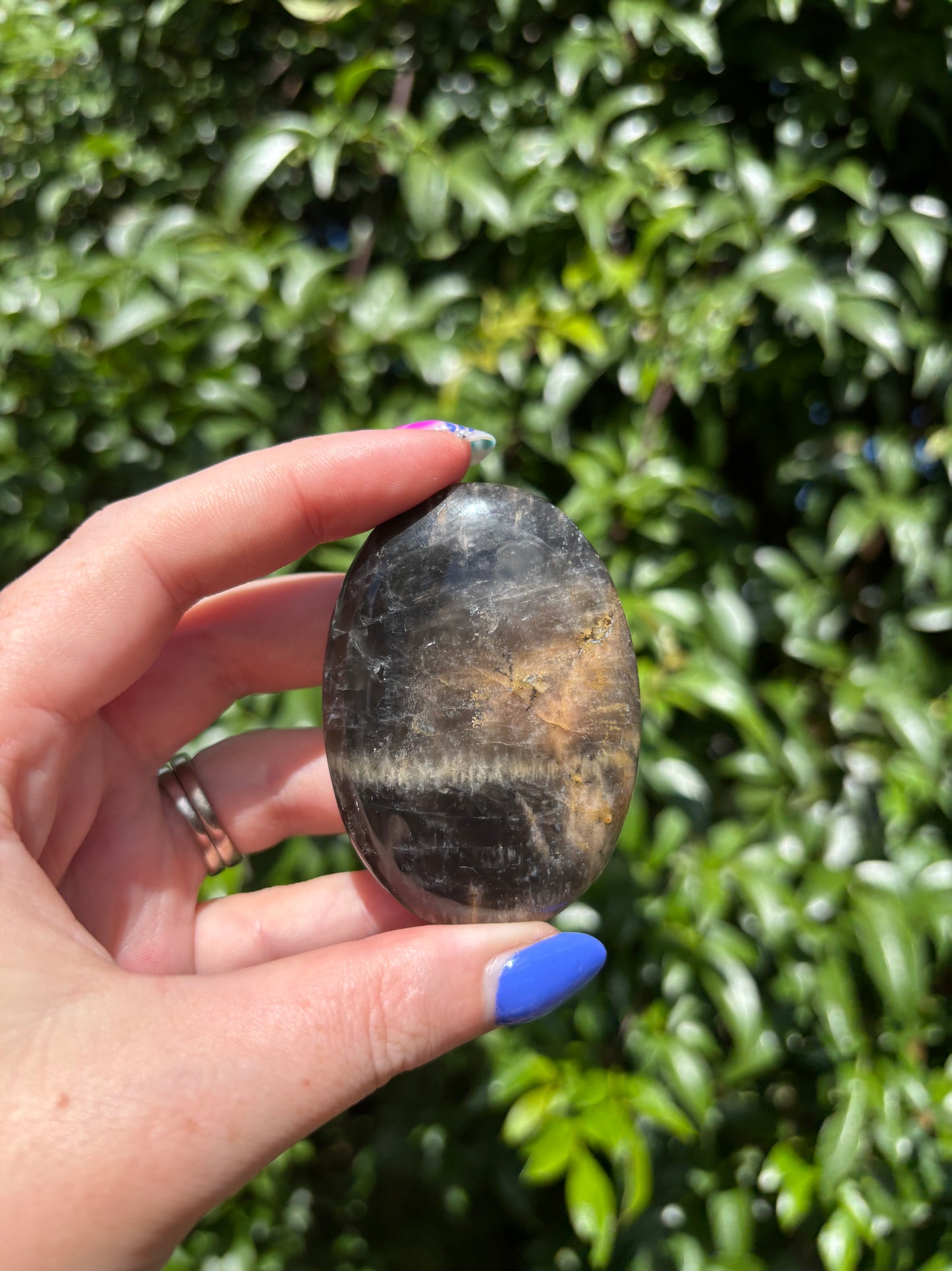 Black Moonstone Palm Stone C