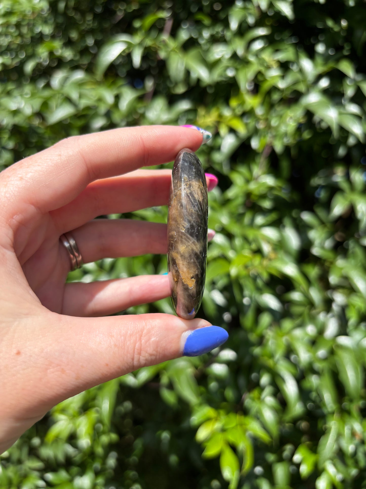 Black Moonstone Palm Stone C