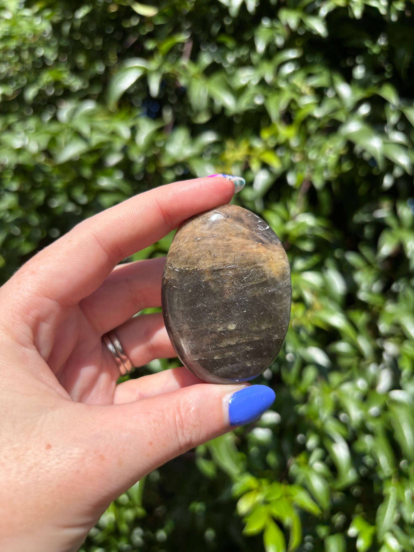 Black Moonstone Palm Stone D