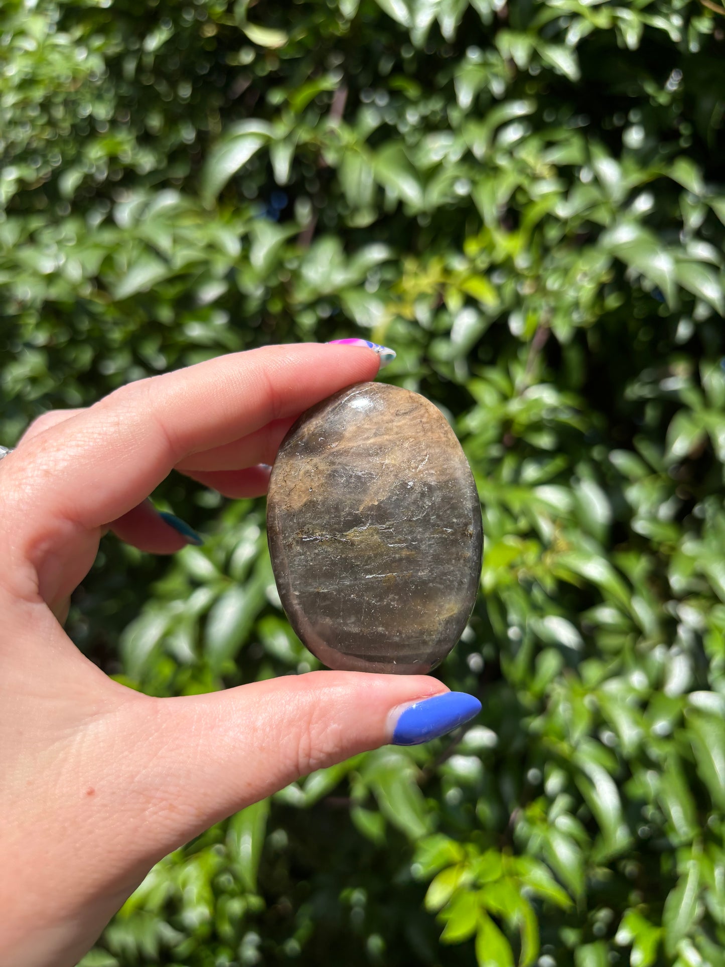 Black Moonstone Palm Stone D