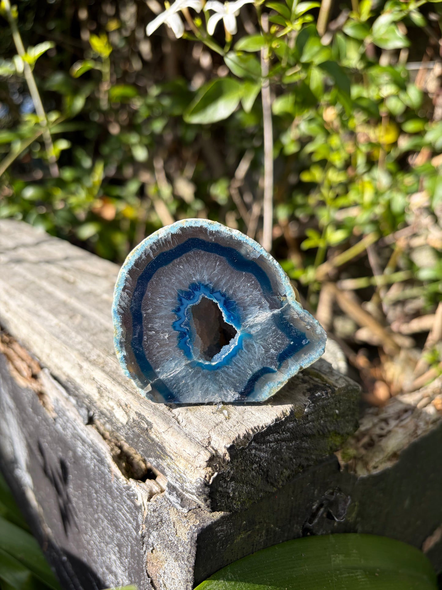 Blue Agate Geode A