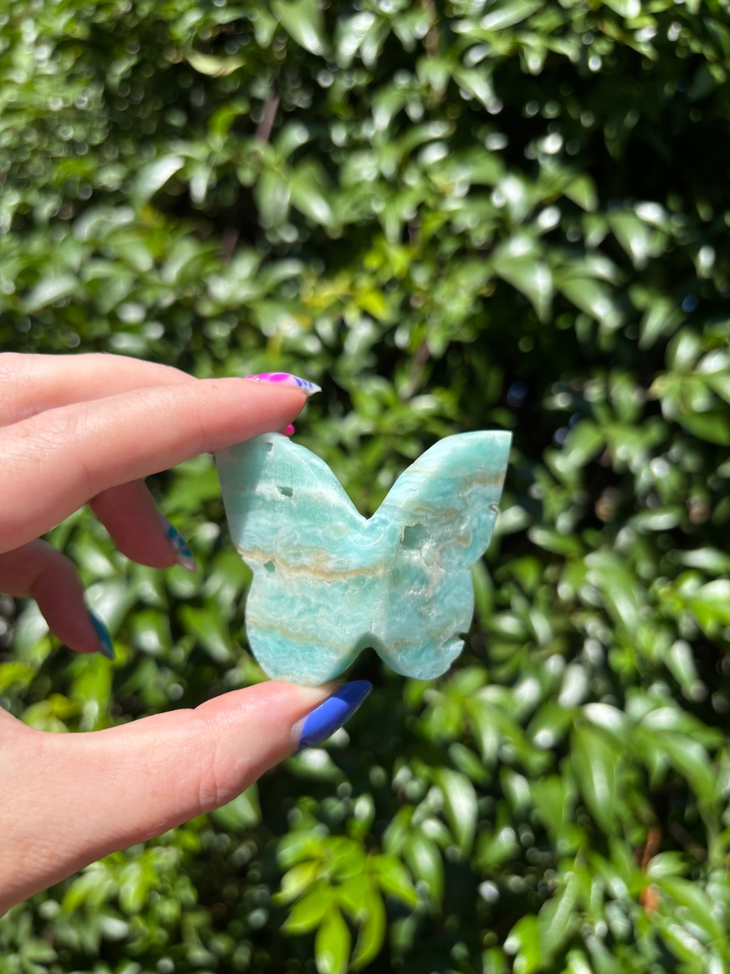 Blue Aragonite 3D Large Butterfly B