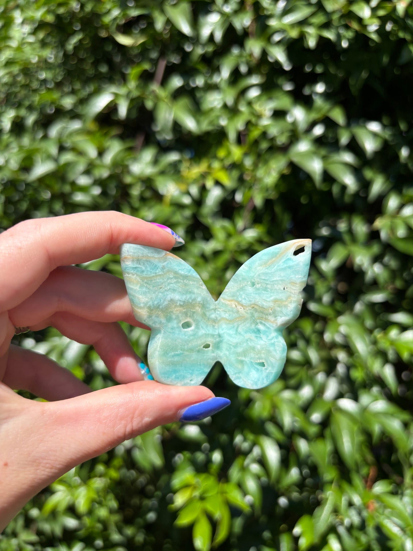 Blue Aragonite 3D Large Butterfly C