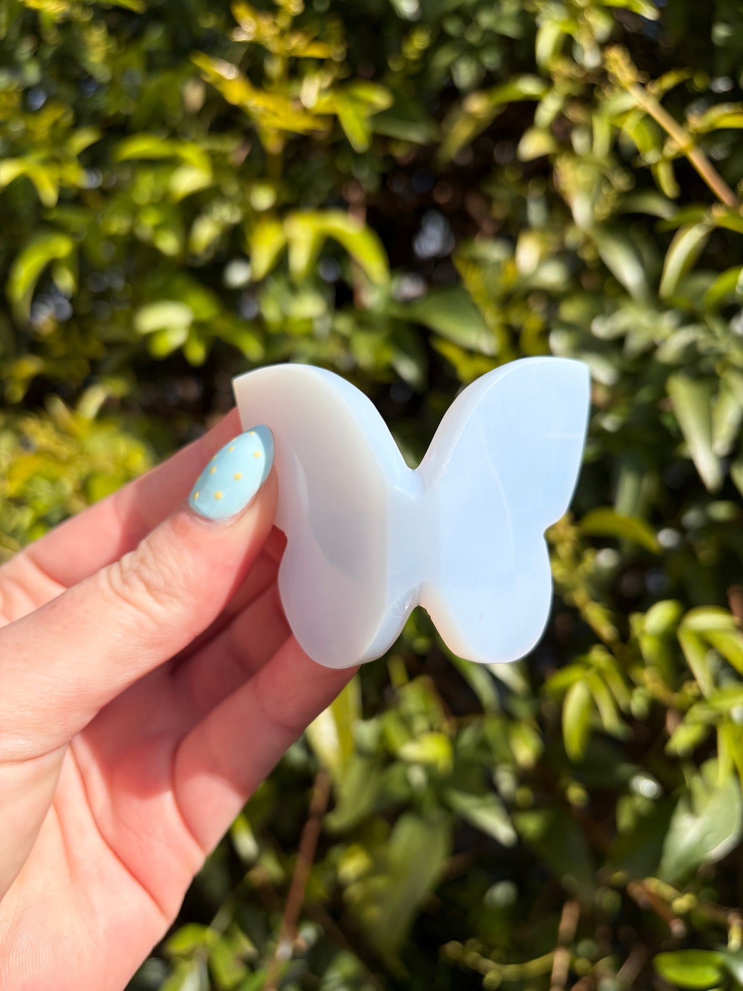 Blue Chalcedony 3D Large Butterfly A