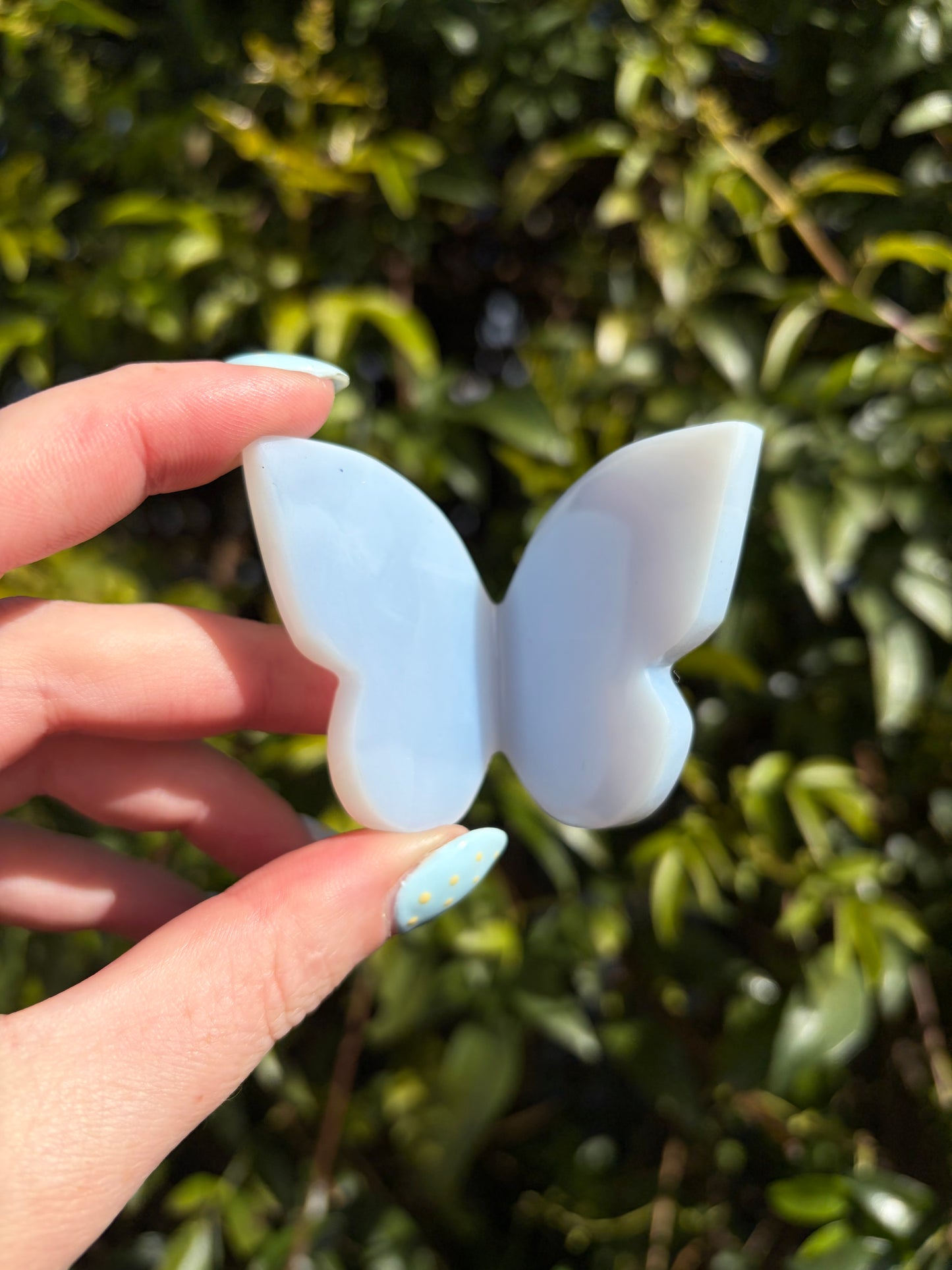 Blue Chalcedony 3D Large Butterfly A