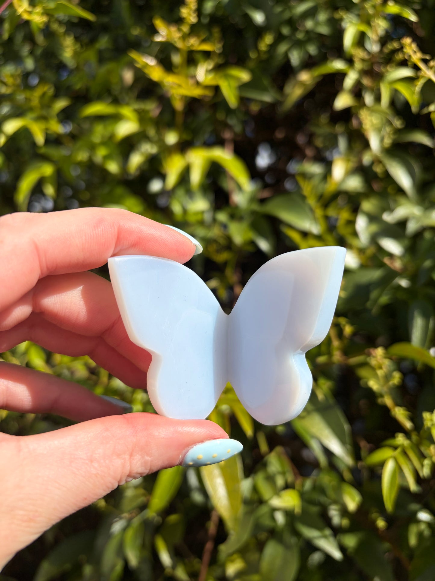 Blue Chalcedony 3D Large Butterfly B