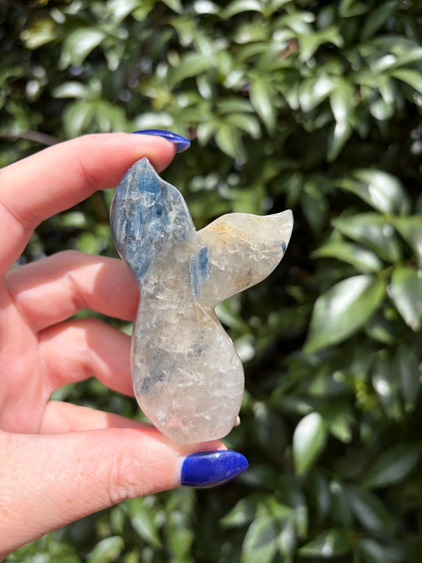 Blue Kyanite & Quartz Mermaid Tail A