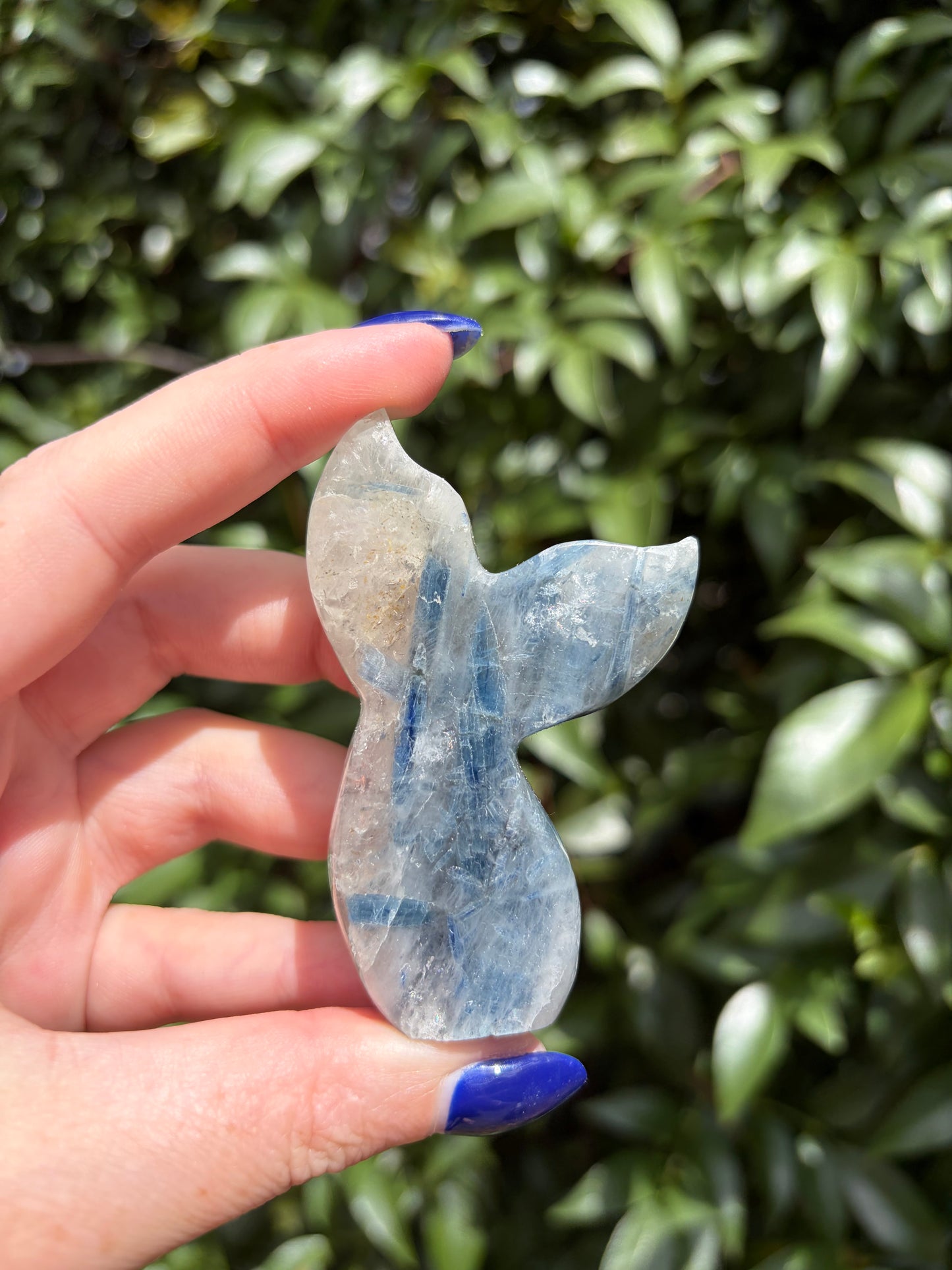 Blue Kyanite & Quartz Mermaid Tail B