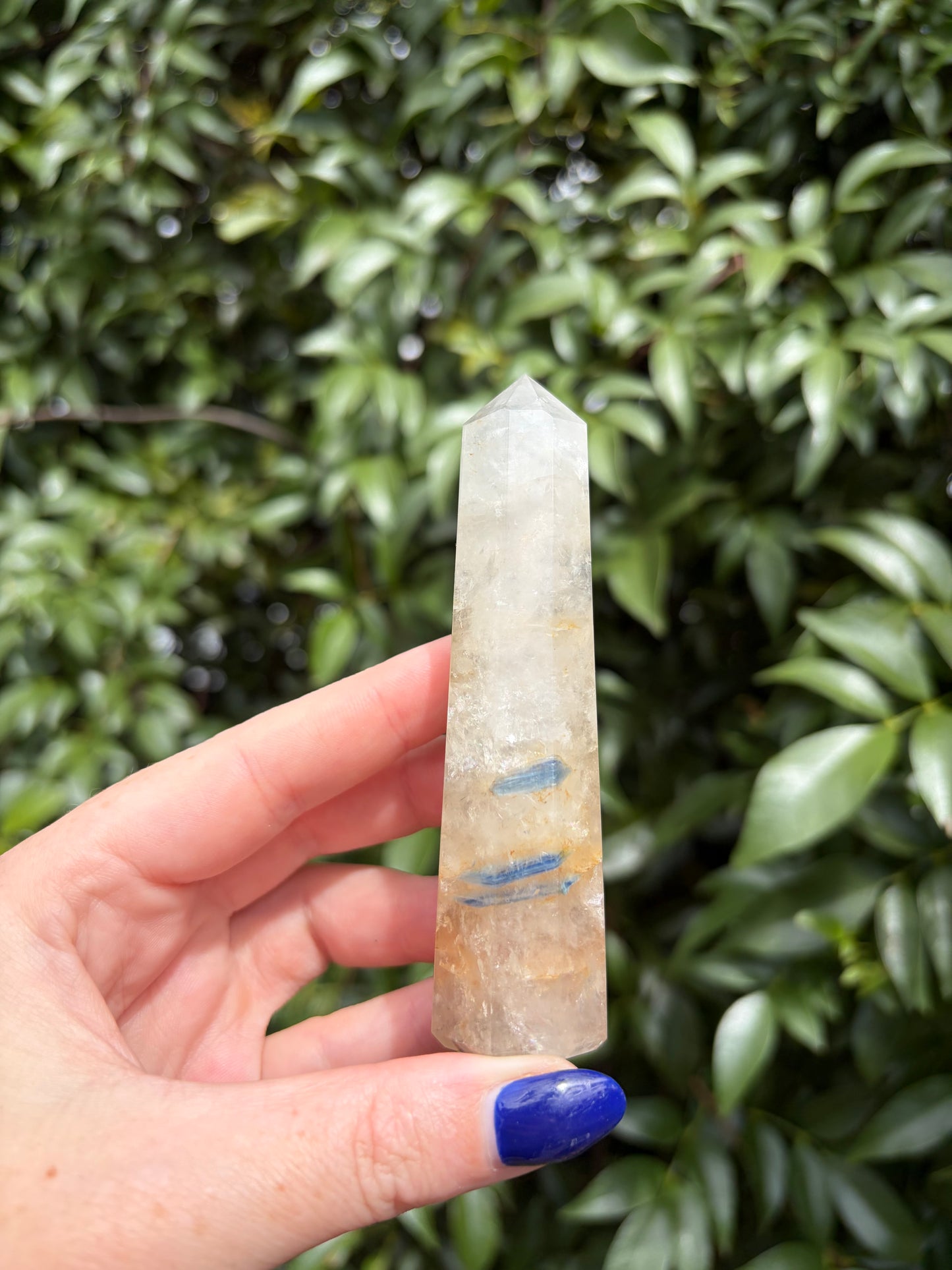 Blue Kyanite & Quartz Point E