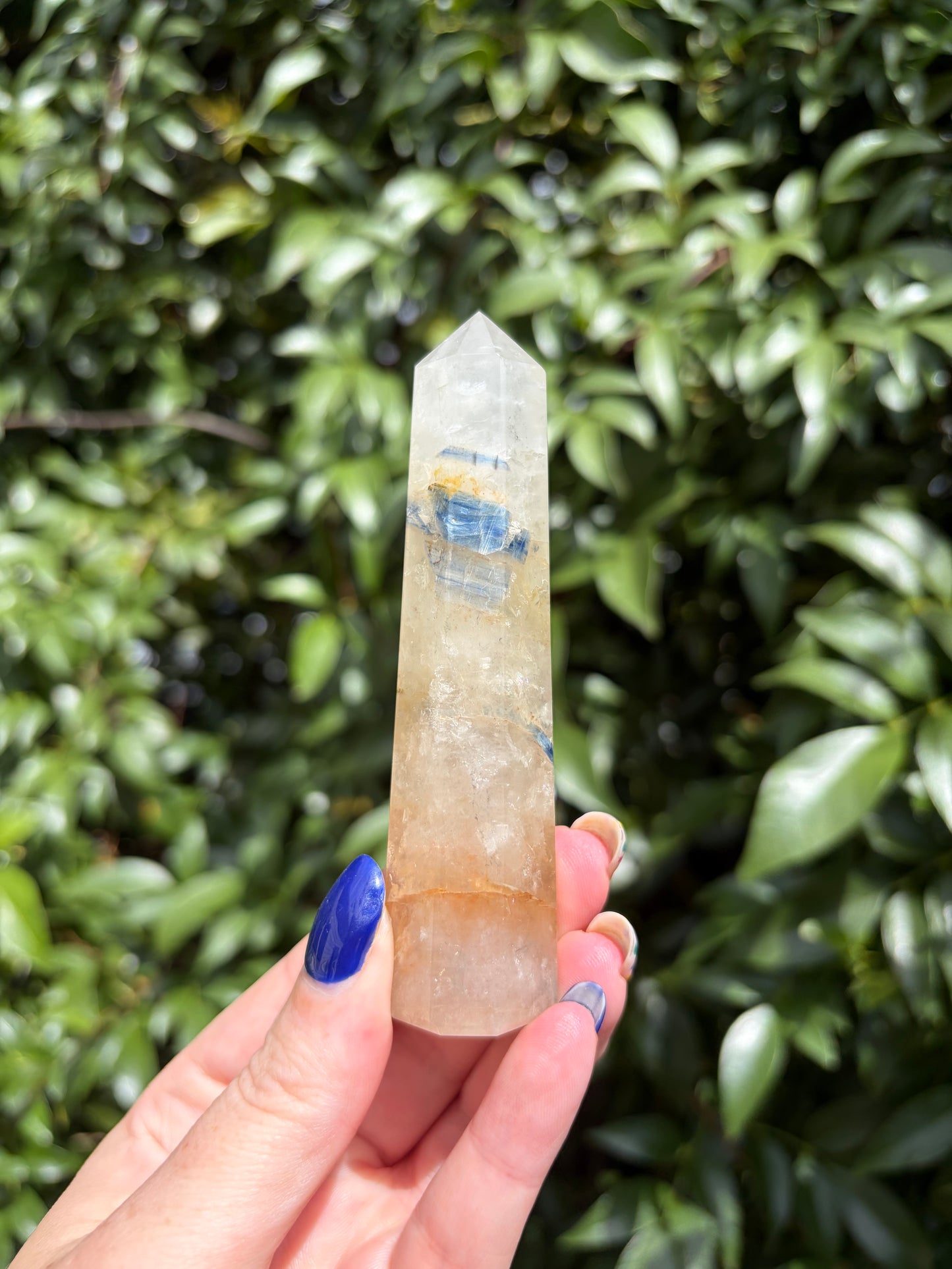 Blue Kyanite & Quartz Point E