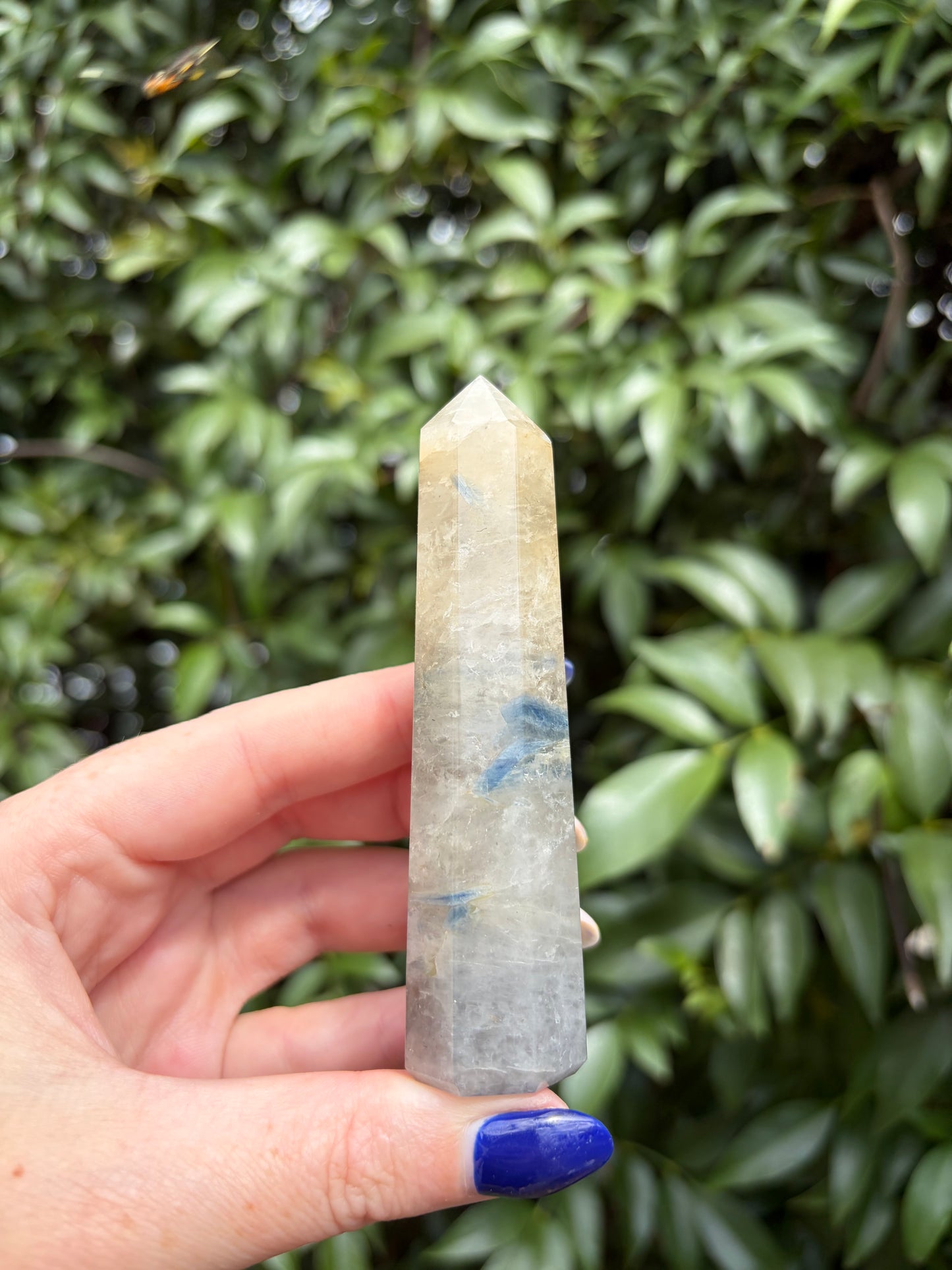 Blue Kyanite & Quartz Point F