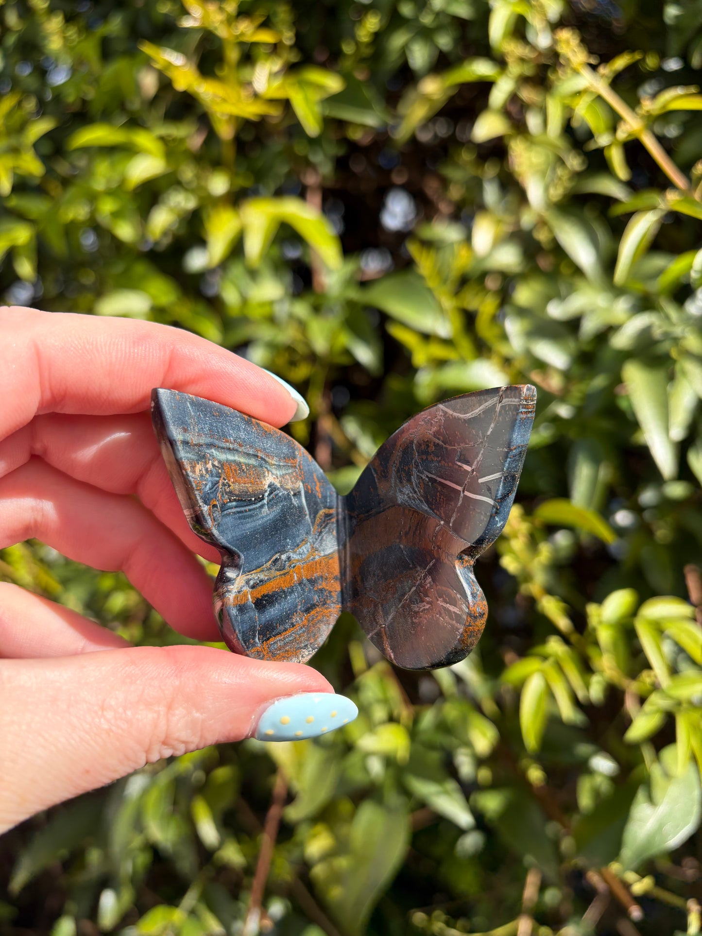 Blue Tigers Eye 3D Large Butterfly A