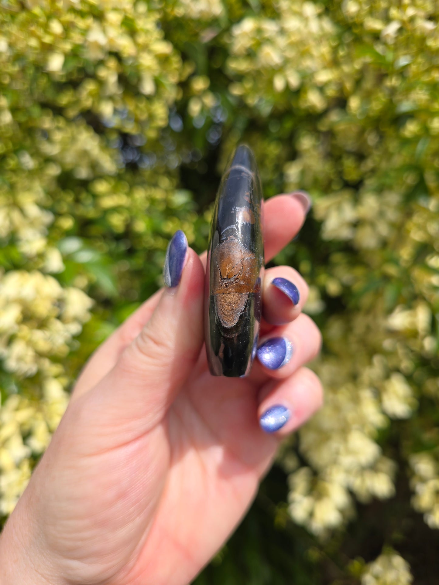 Blue Tigers Eye Flame H