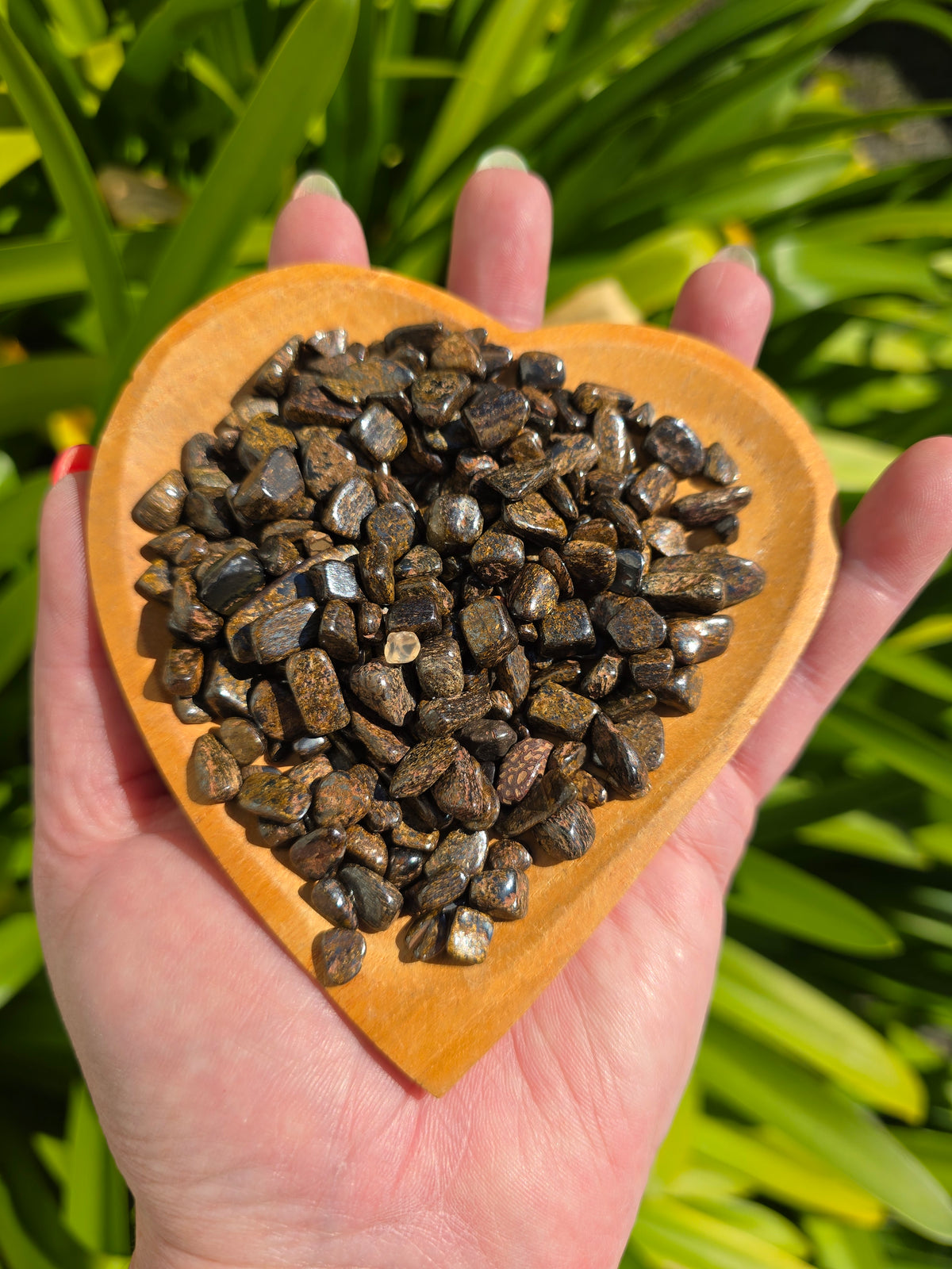 Bronzite Crystal Chip Bag 100gms
