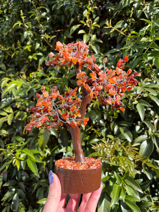 Carnelian Crystal Tree Large