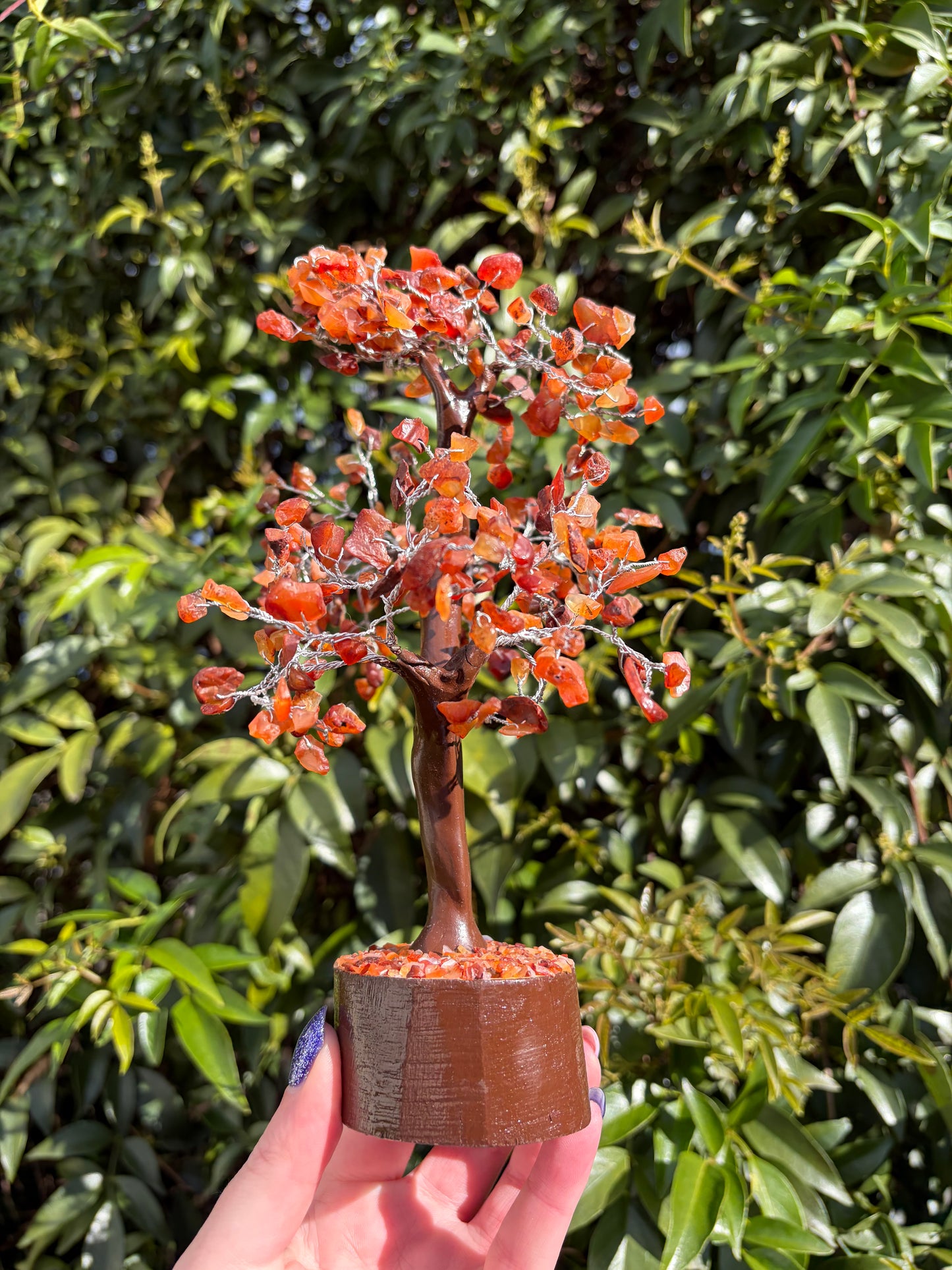 Carnelian Crystal Tree Large
