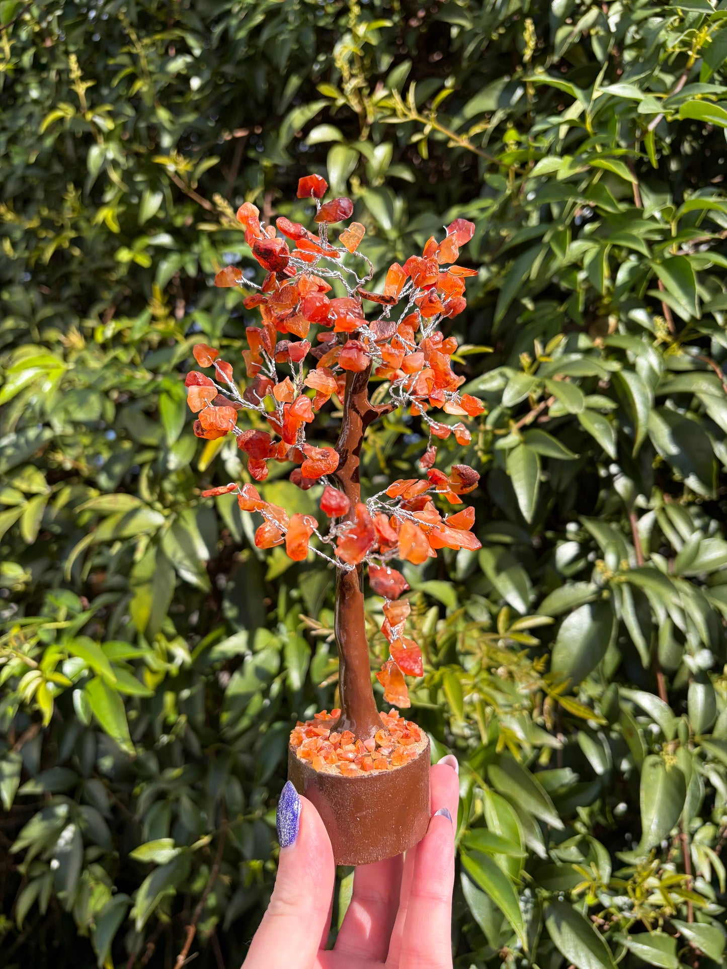 Carnelian Crystal Tree Medium