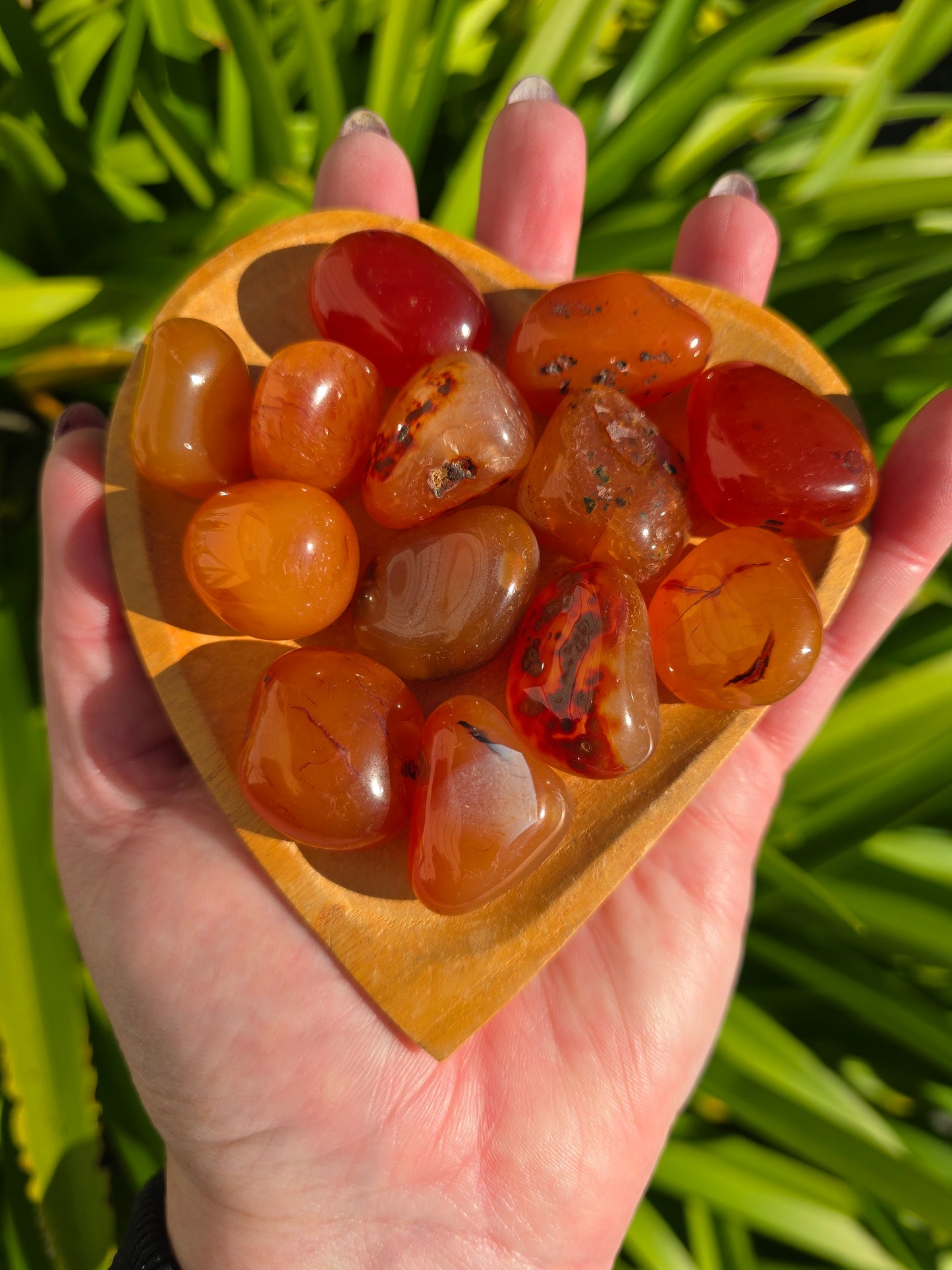 Carnelian Tumbled Stone Medium