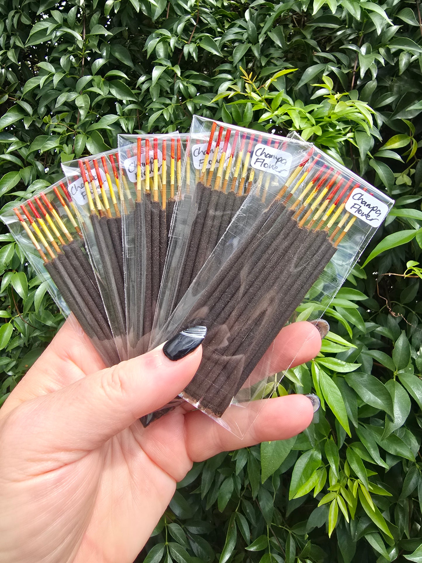 Champa Flower | Wild Berry Shorties Incense