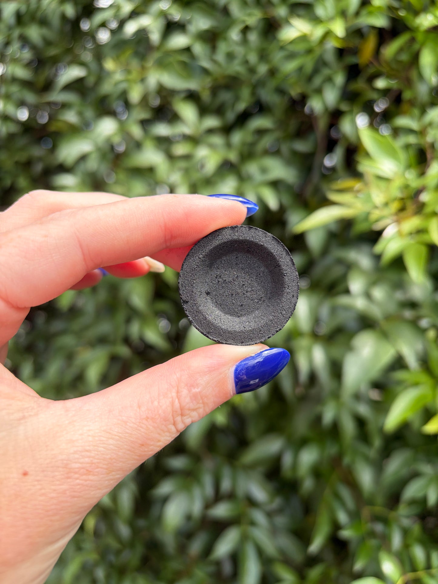 Charcoal Disk x10 Pack