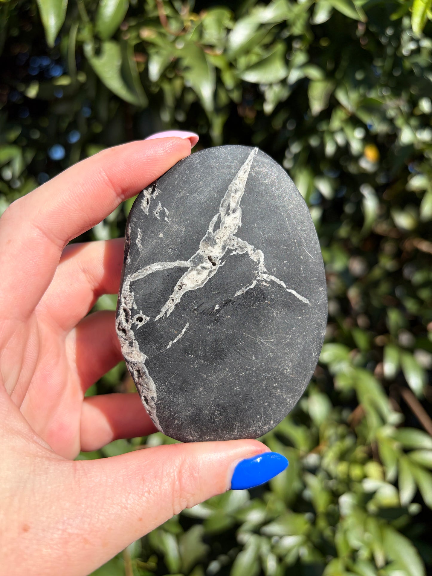 Chrysanthemum Stone Piece A