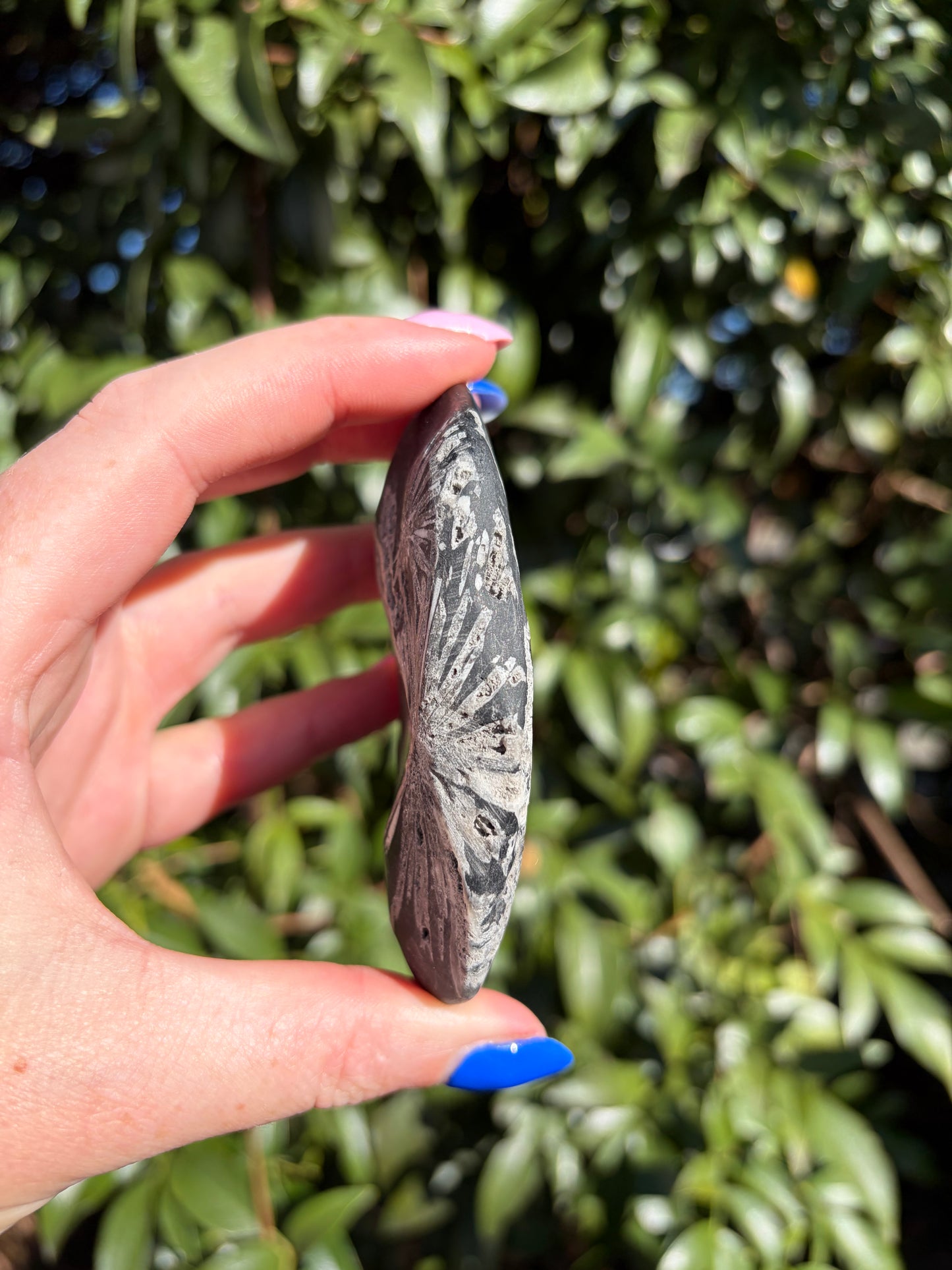 Chrysanthemum Stone Piece A