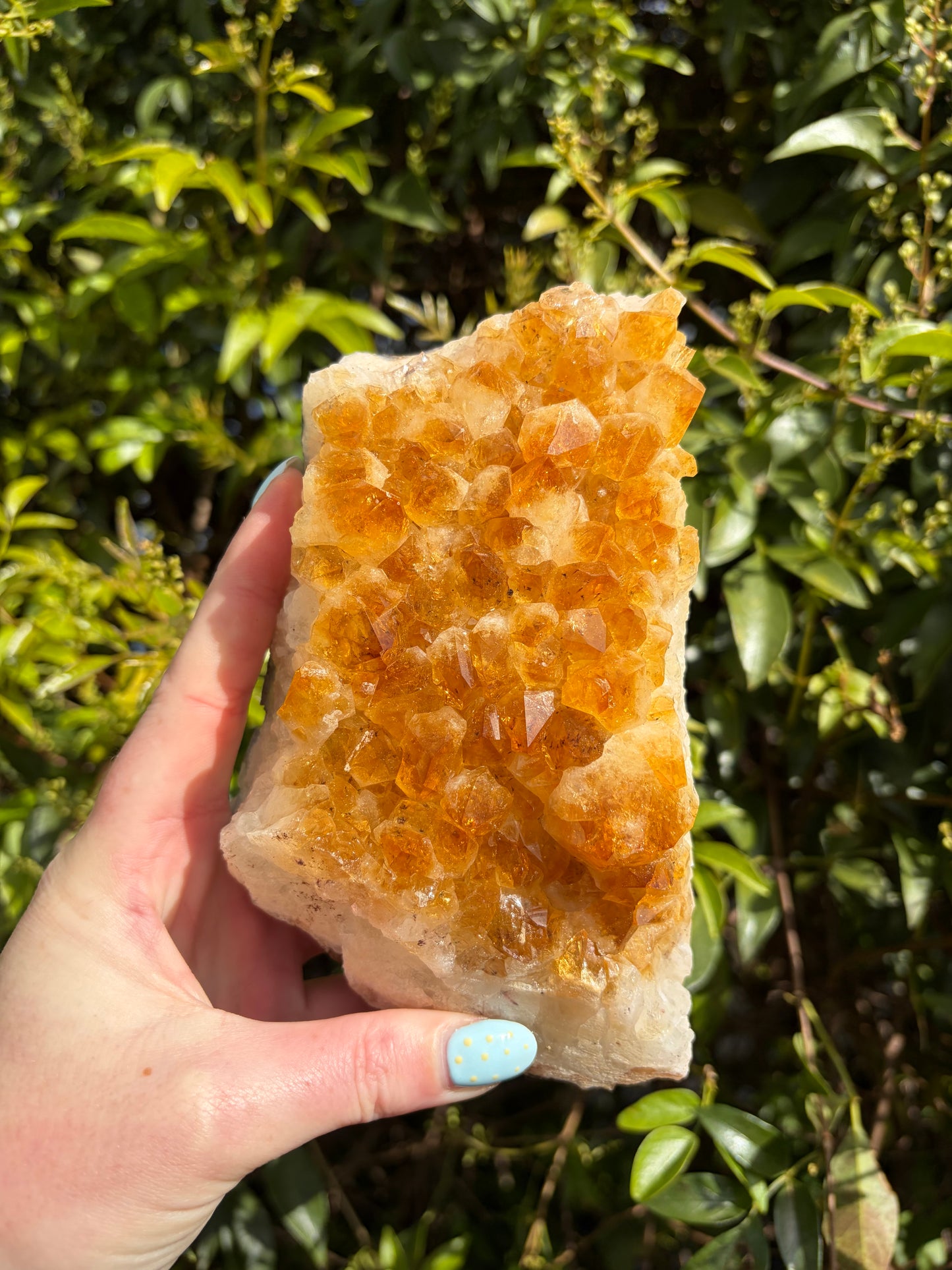 Citrine Druzy Cluster Piece A