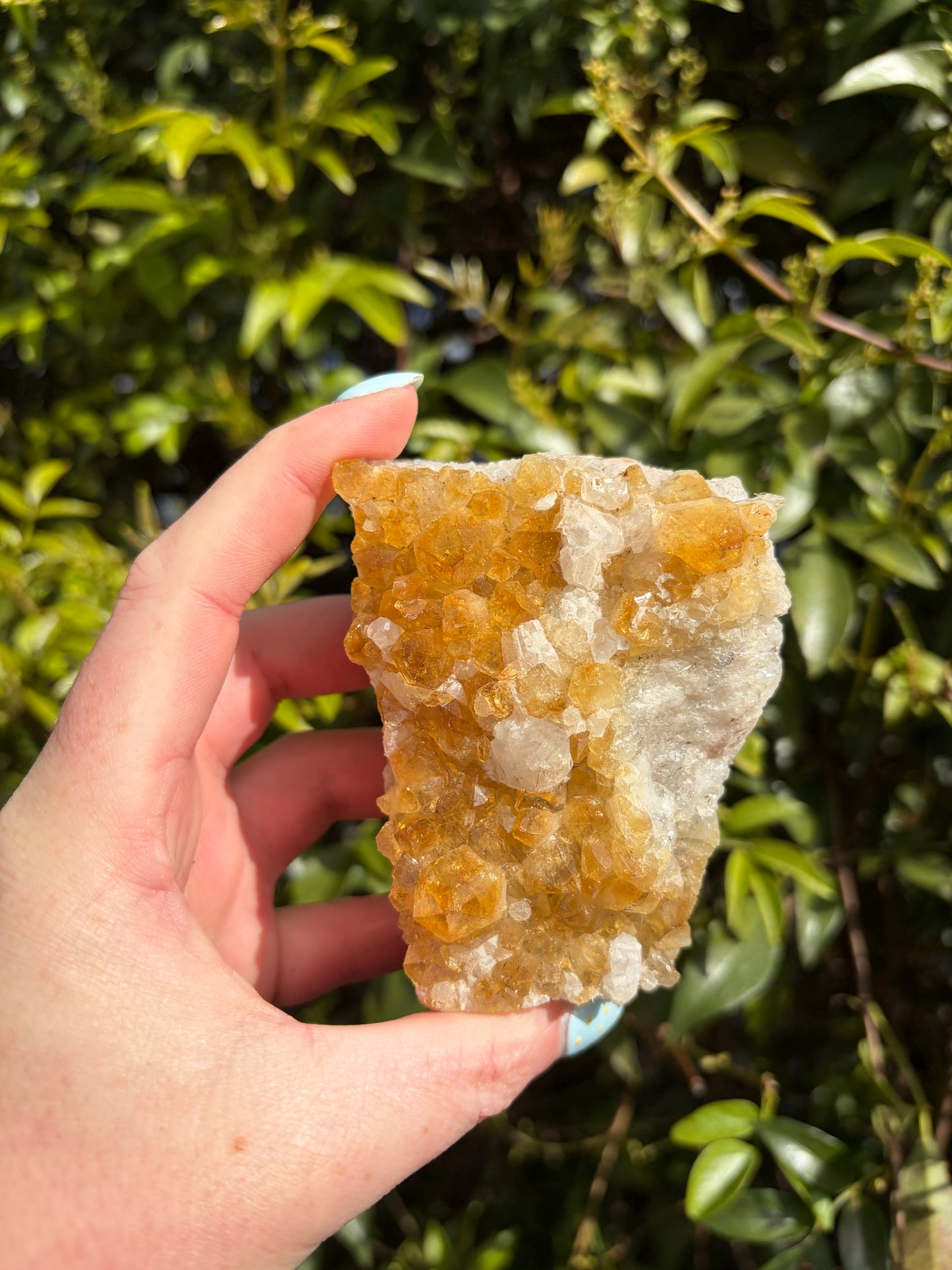 Citrine Druzy Cluster Piece B
