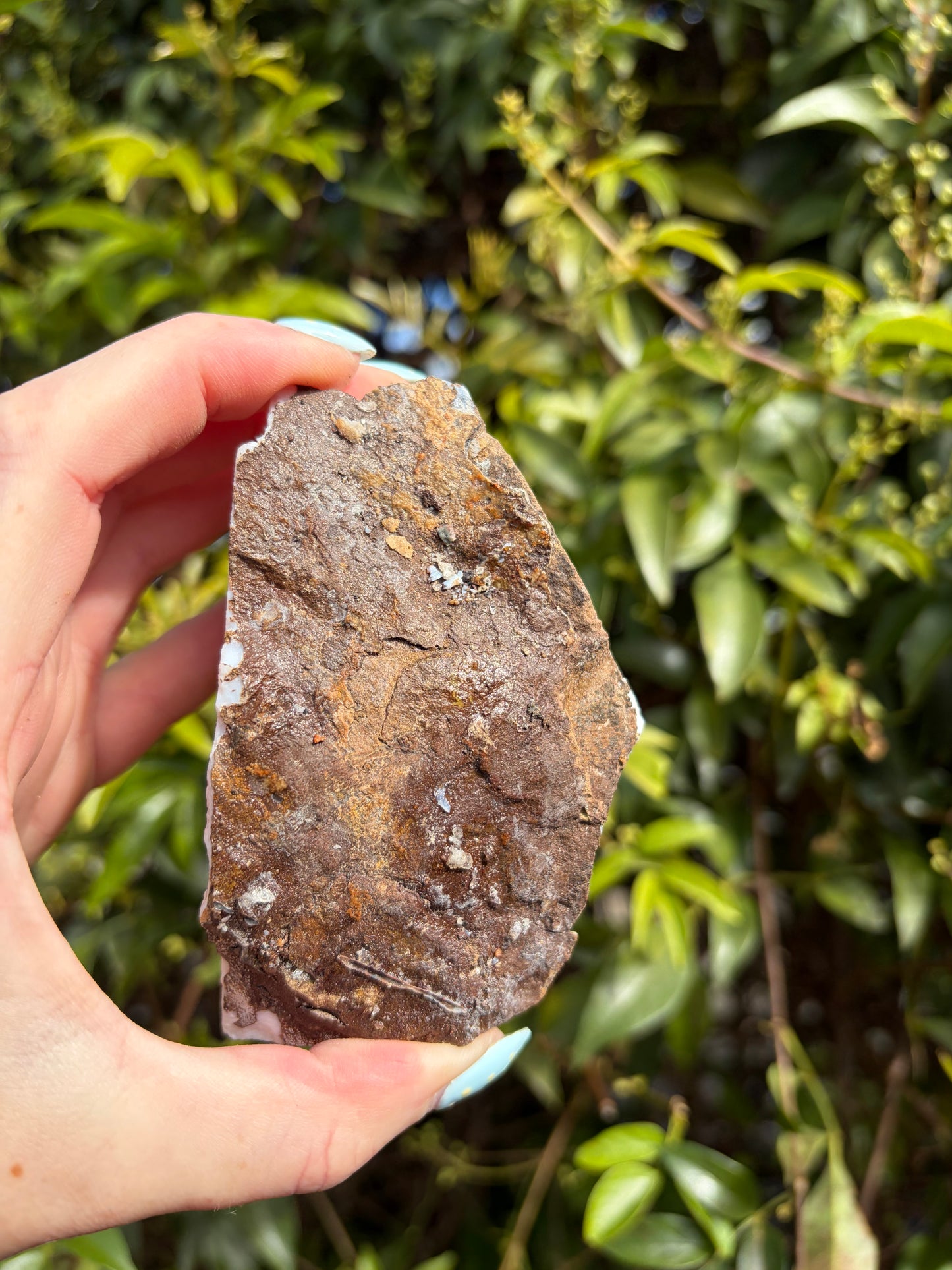 Citrine Druzy Cluster Piece C