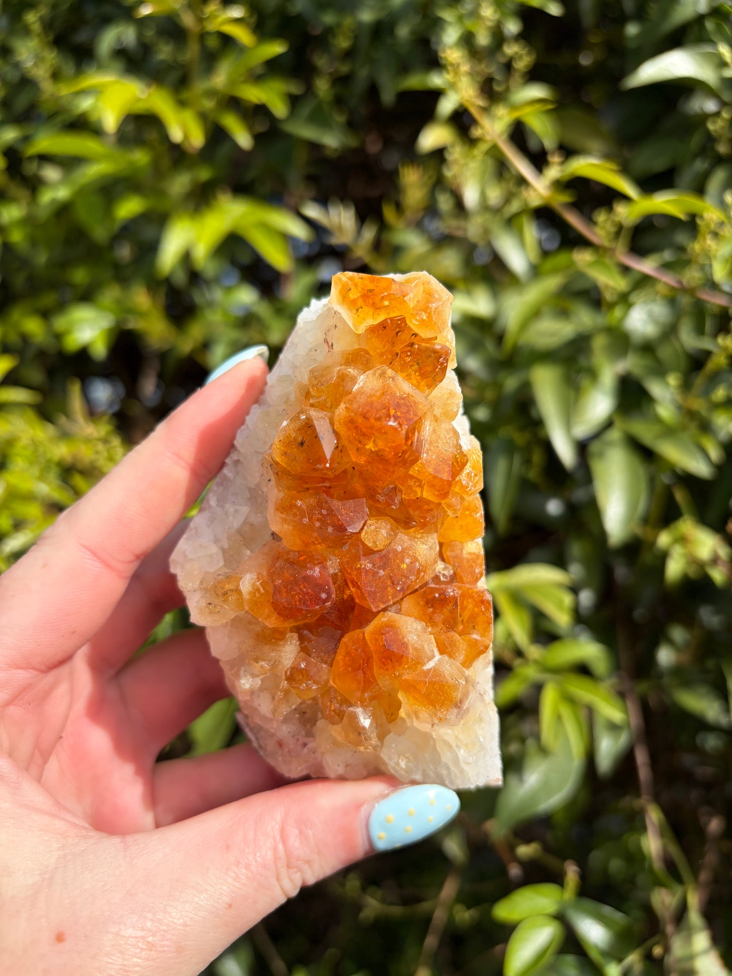 Citrine Druzy Cluster Piece C