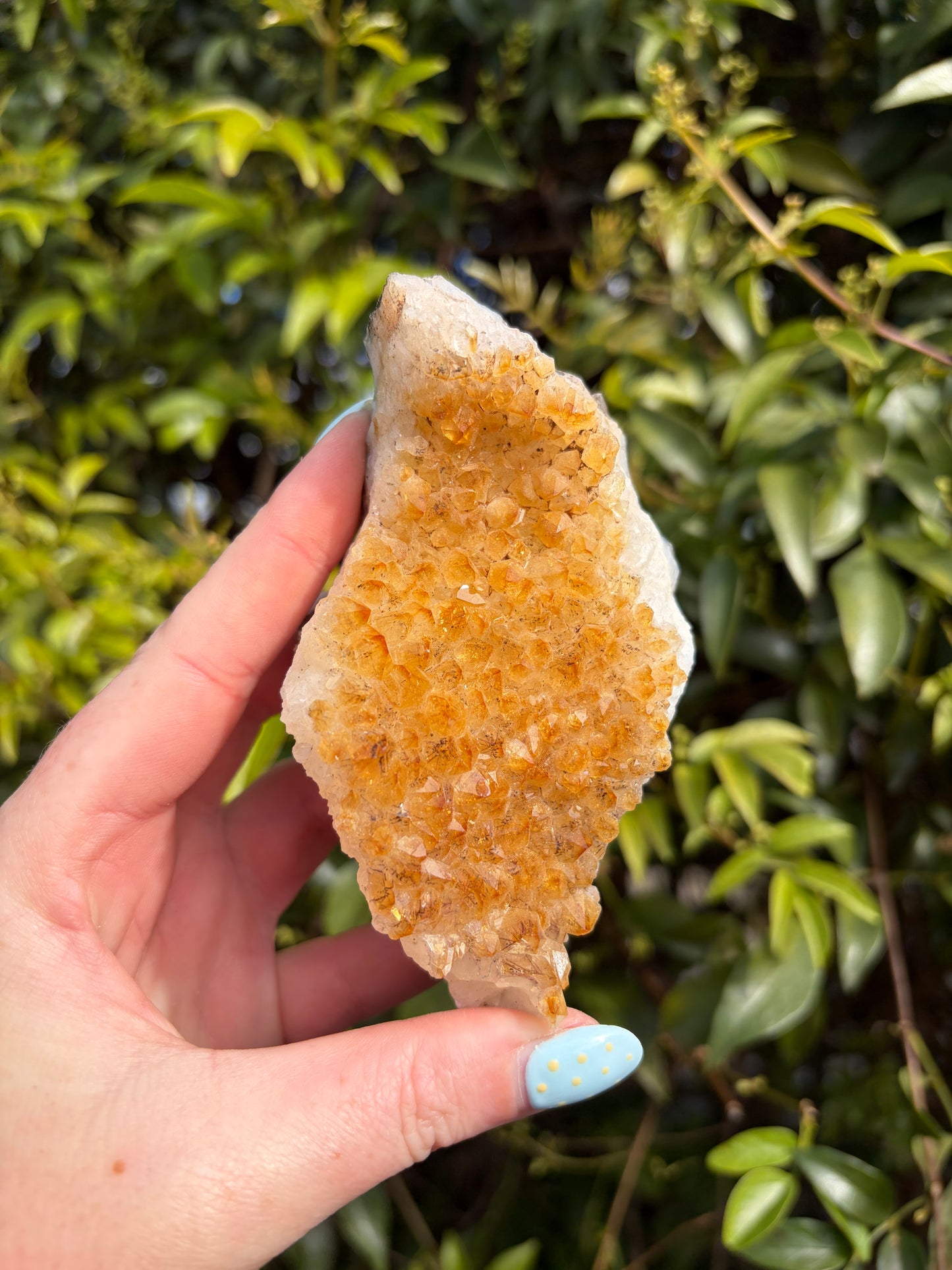 Citrine Druzy Cluster Piece D