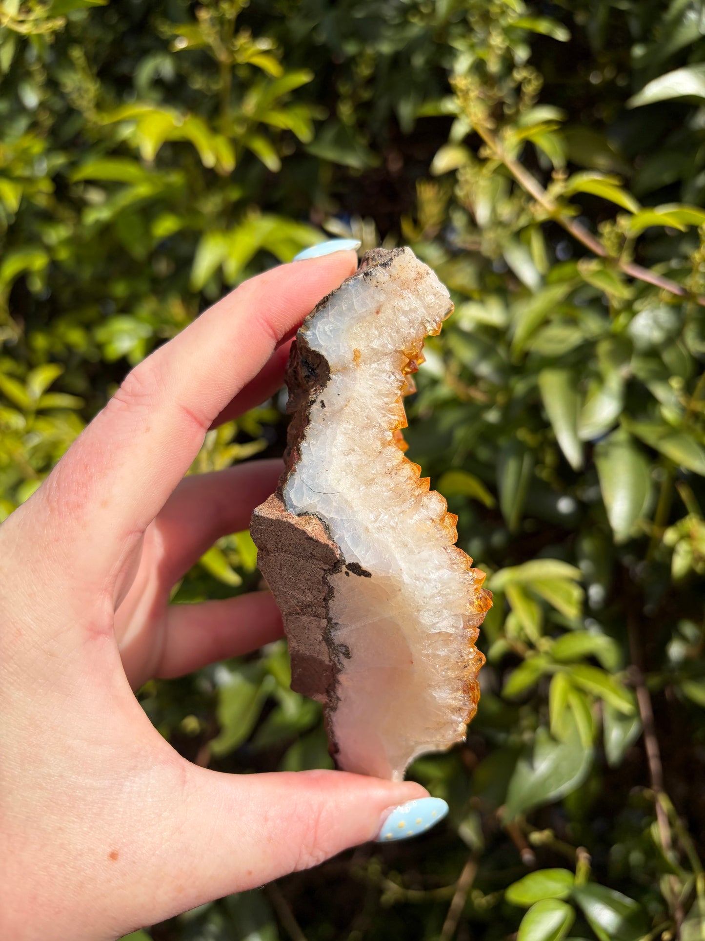 Citrine Druzy Cluster Piece D