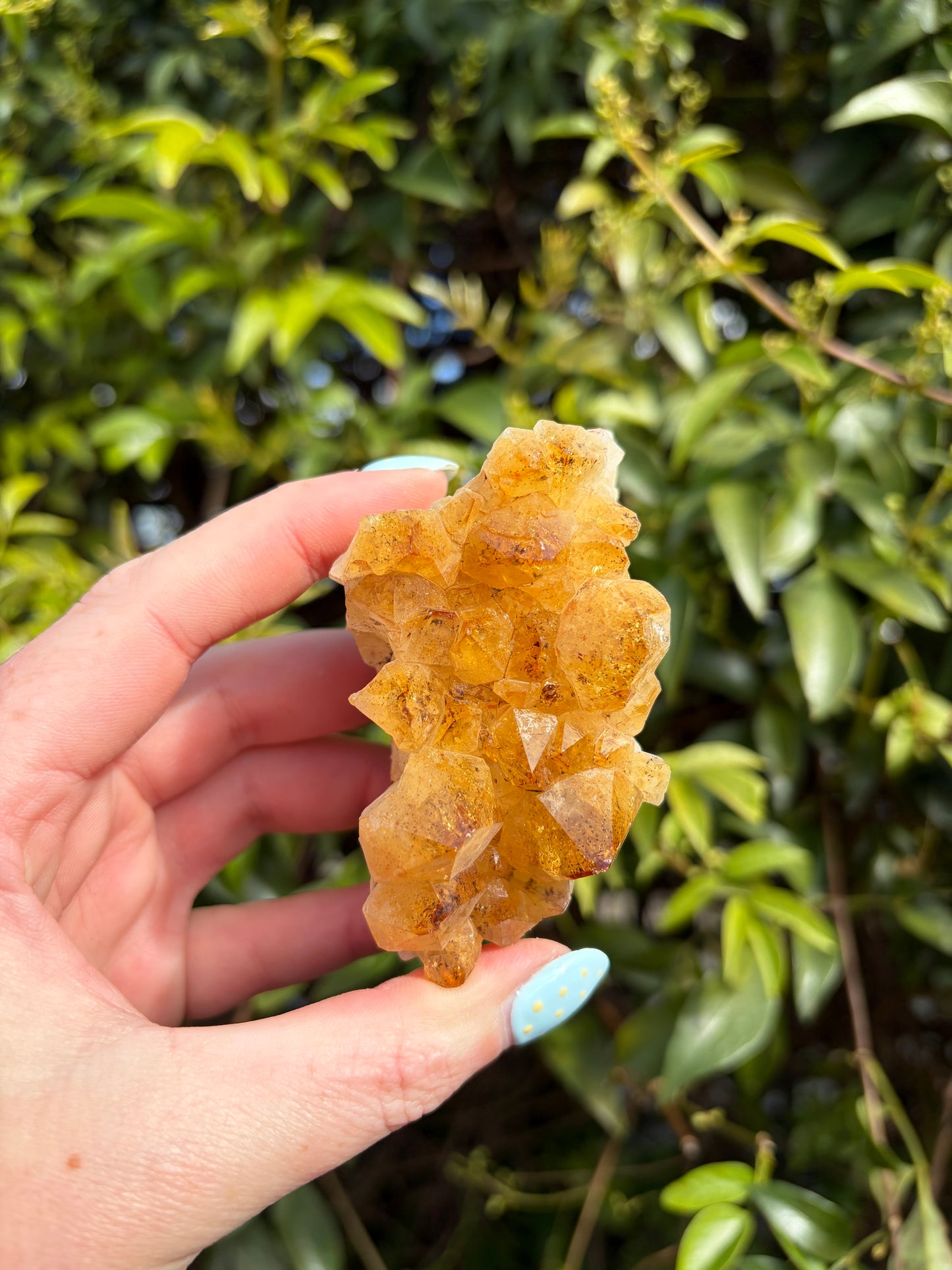 Citrine Druzy Cluster Piece F