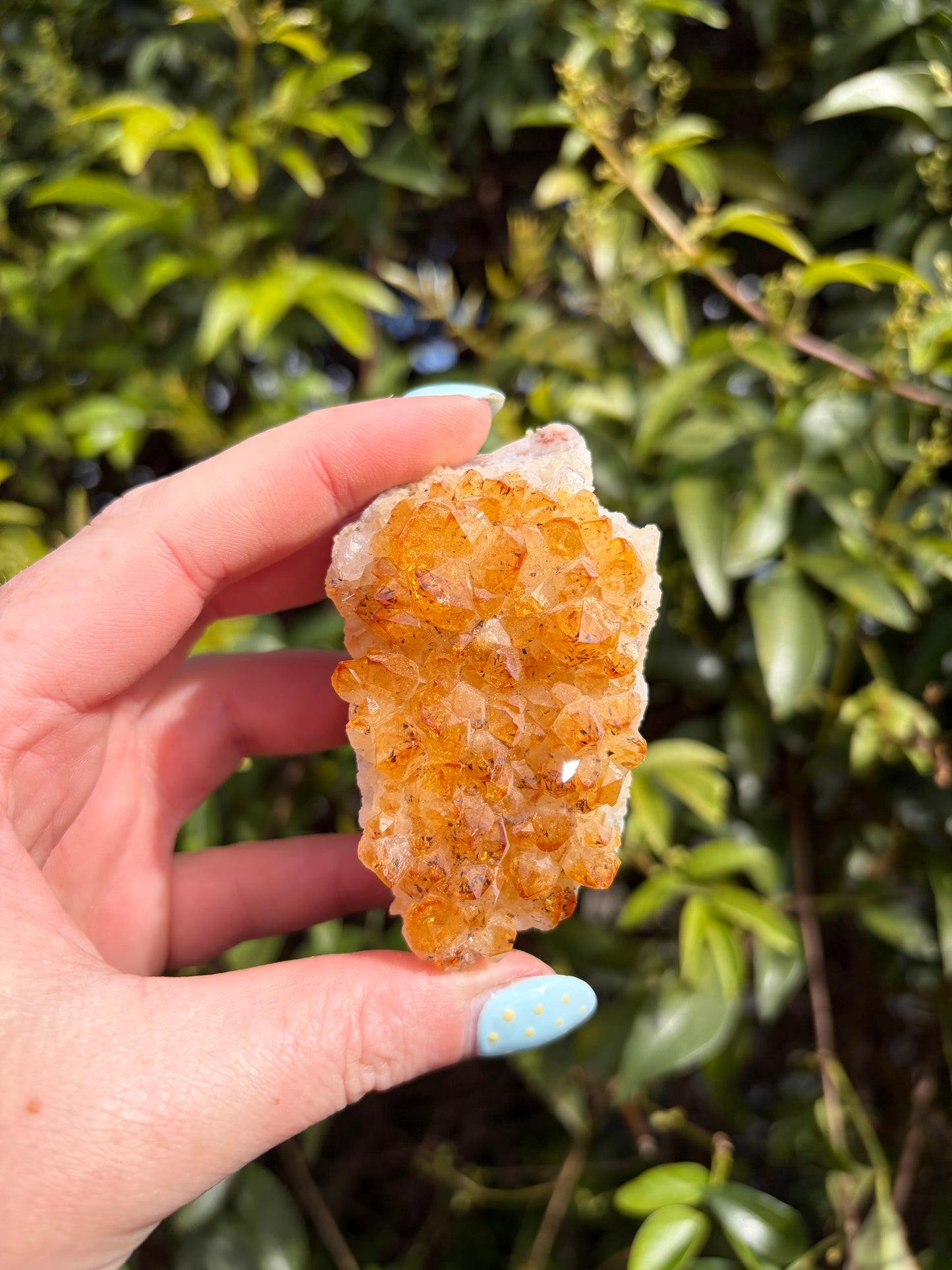 Citrine Druzy Cluster Piece G