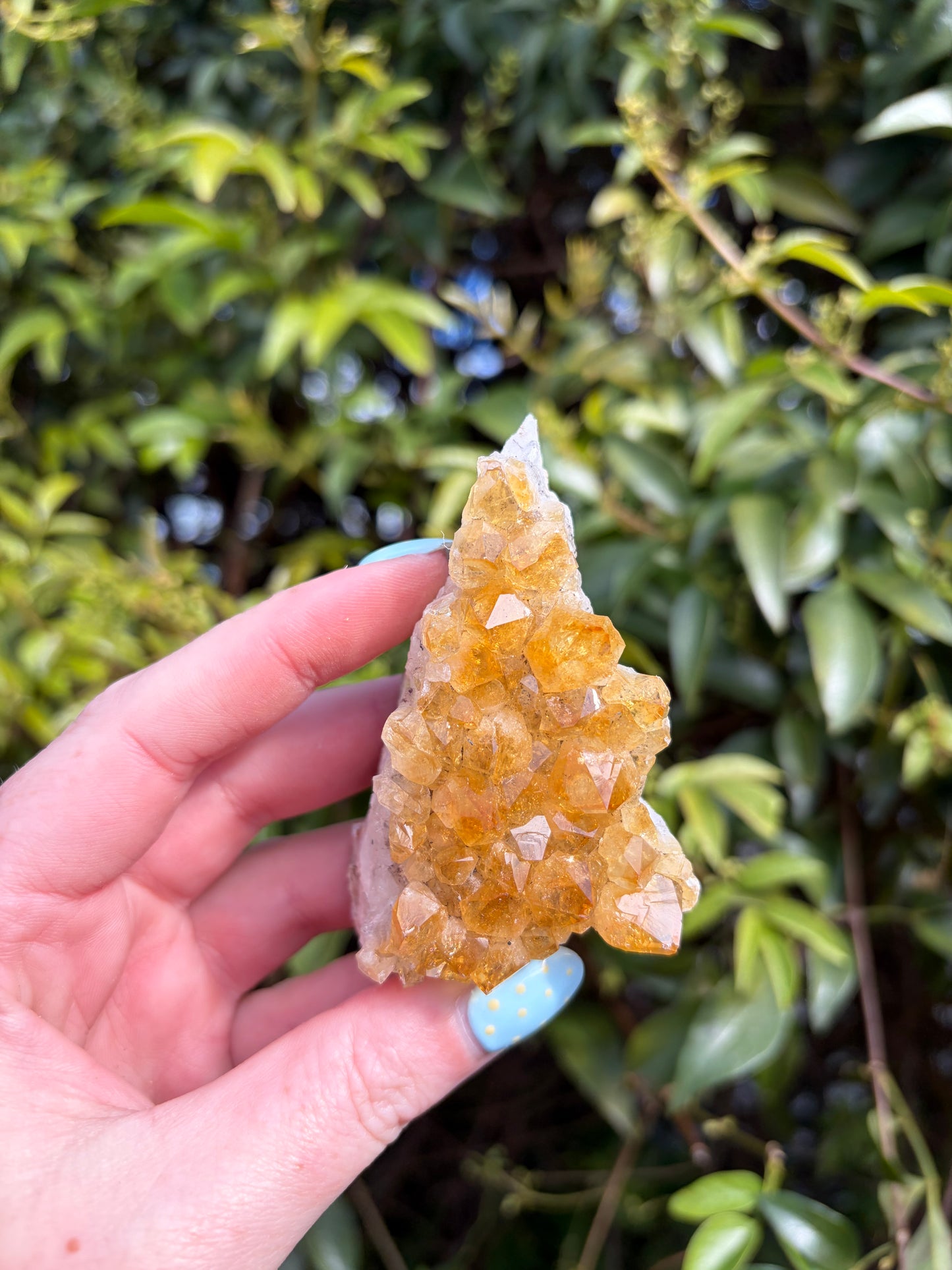 Citrine Druzy Cluster Piece H