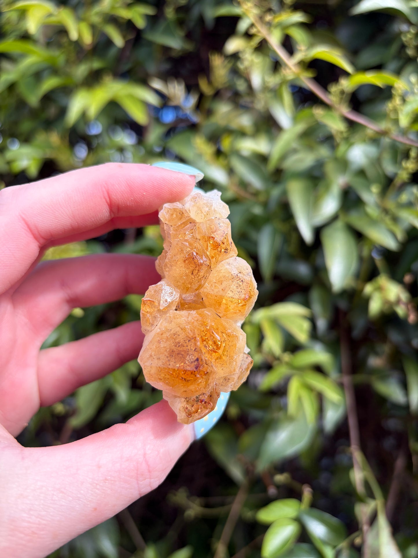 Citrine Druzy Cluster Piece i