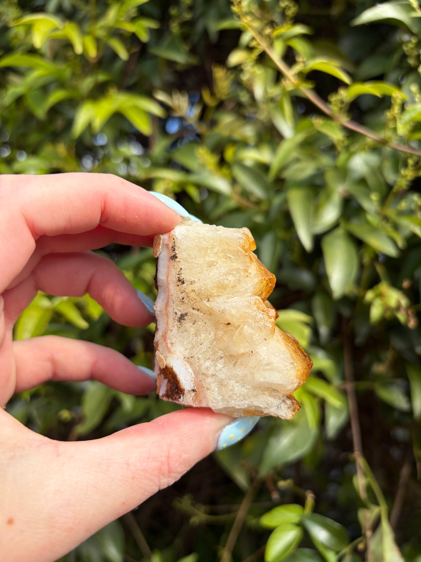 Citrine Druzy Cluster Piece i