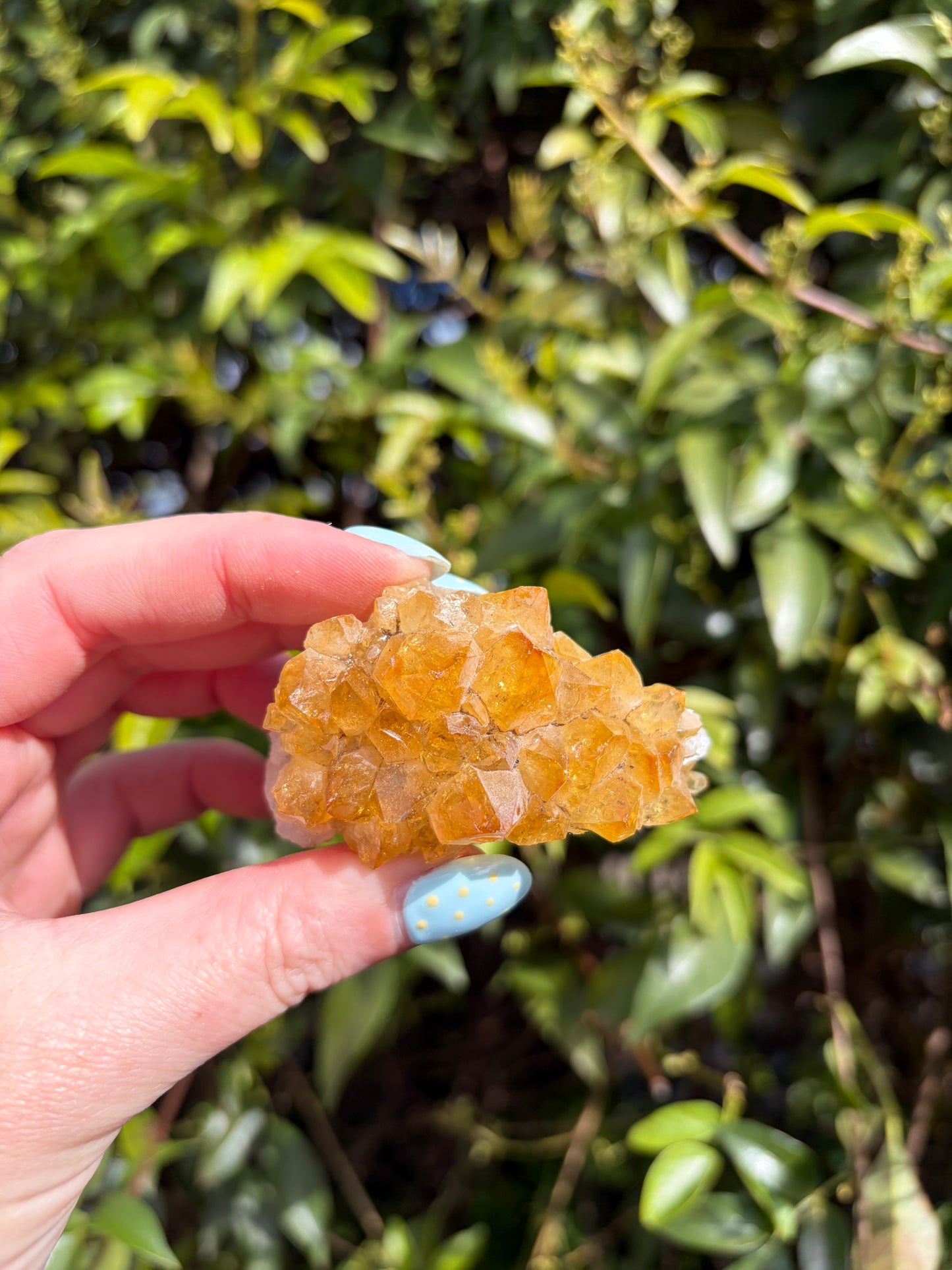 Citrine Druzy Cluster Piece J