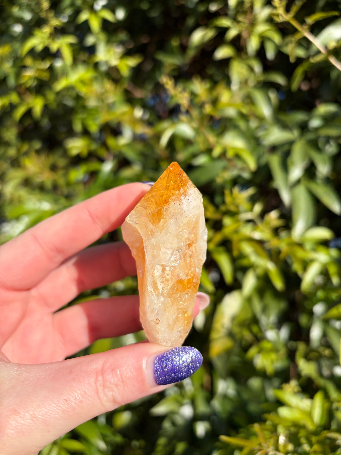 Citrine Rough Point D