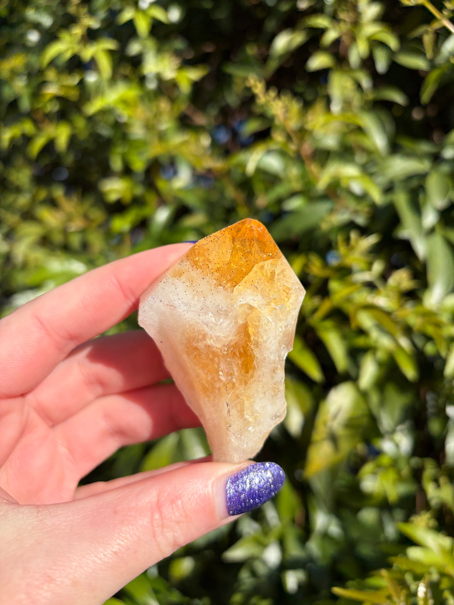 Citrine Rough Point D