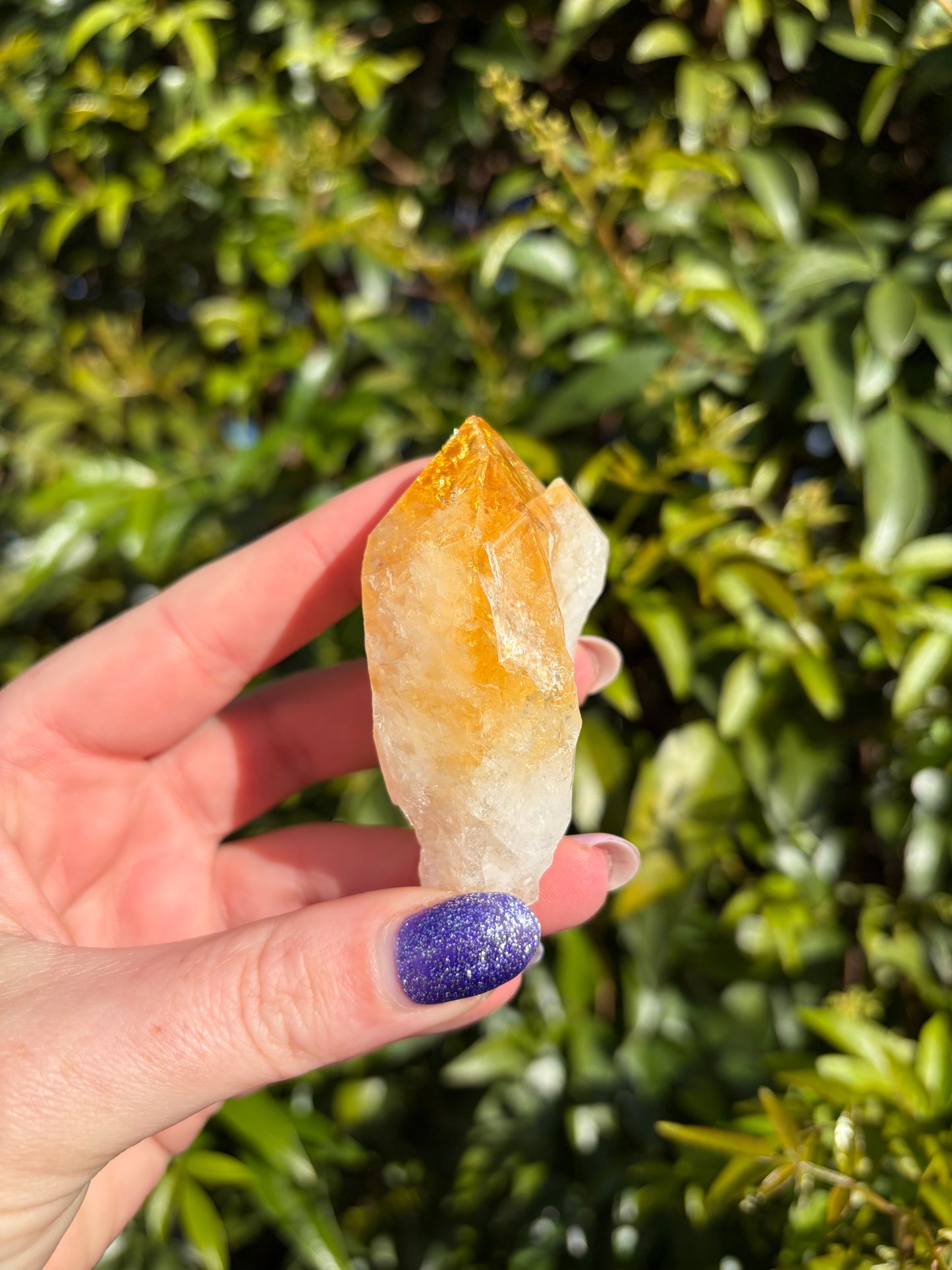 Citrine Rough Point E