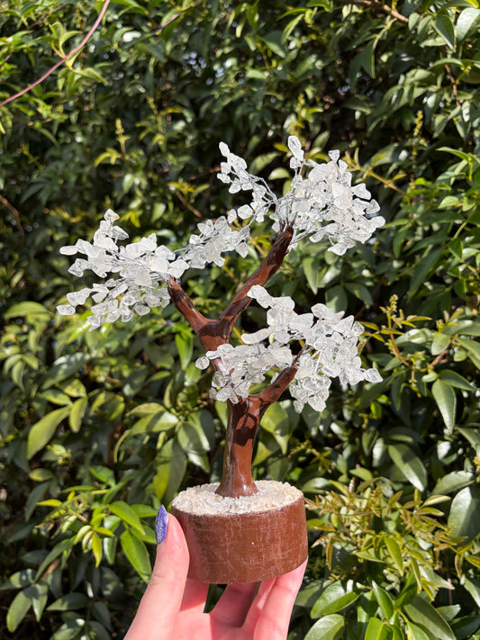 Clear Quartz Crystal Tree Large